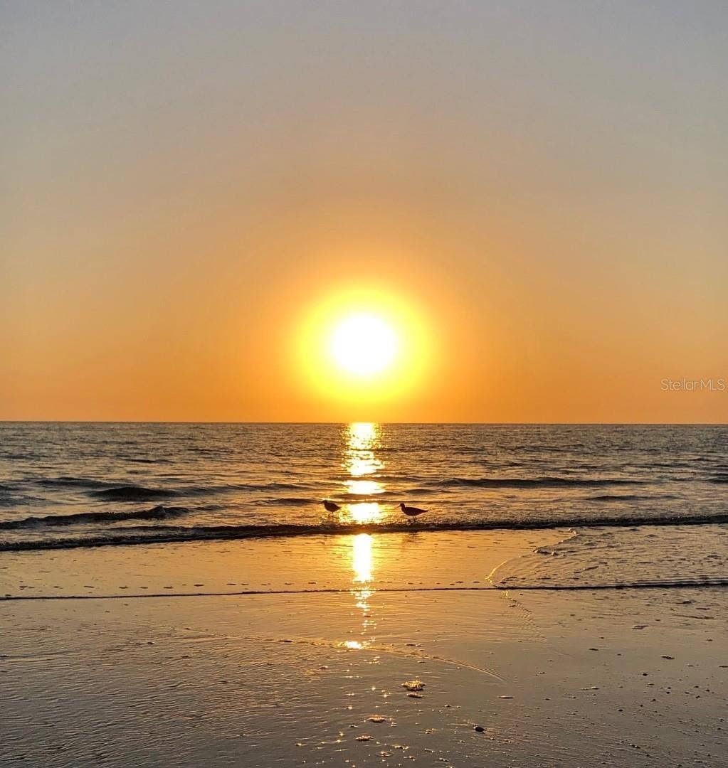 Beautiful Madeira Beach