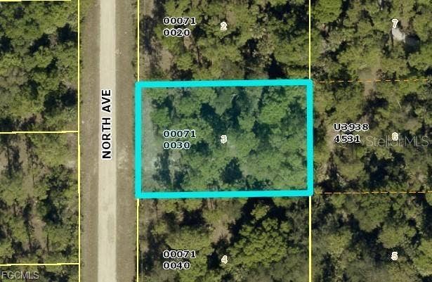 716 NORTH AVENUE, Lehigh Acres, FL 33972