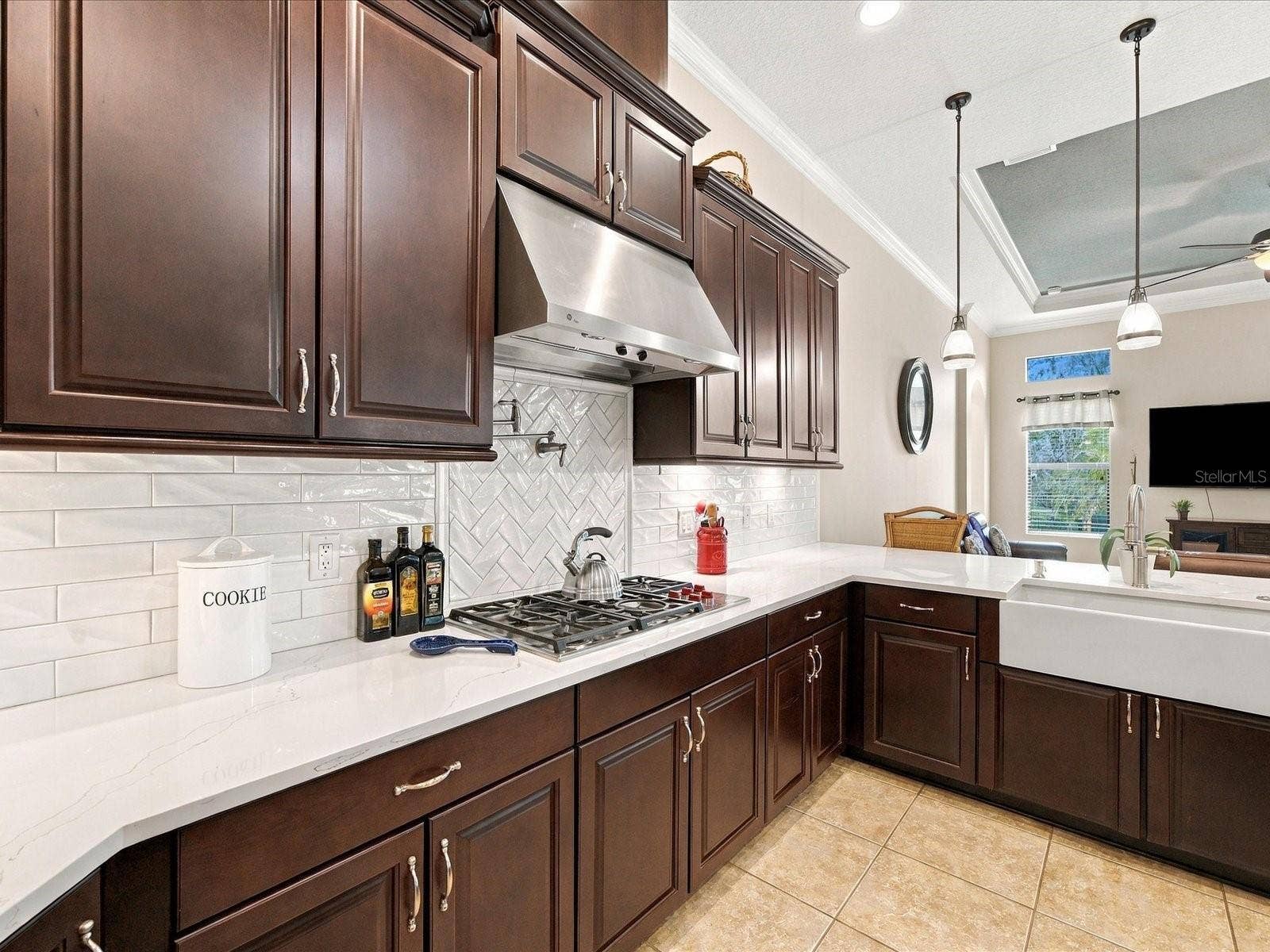17314 SAN ARINGO PLACE, Lutz, FL 33548 17314 SAN ARINGO PLACE, Lutz, FL 33548