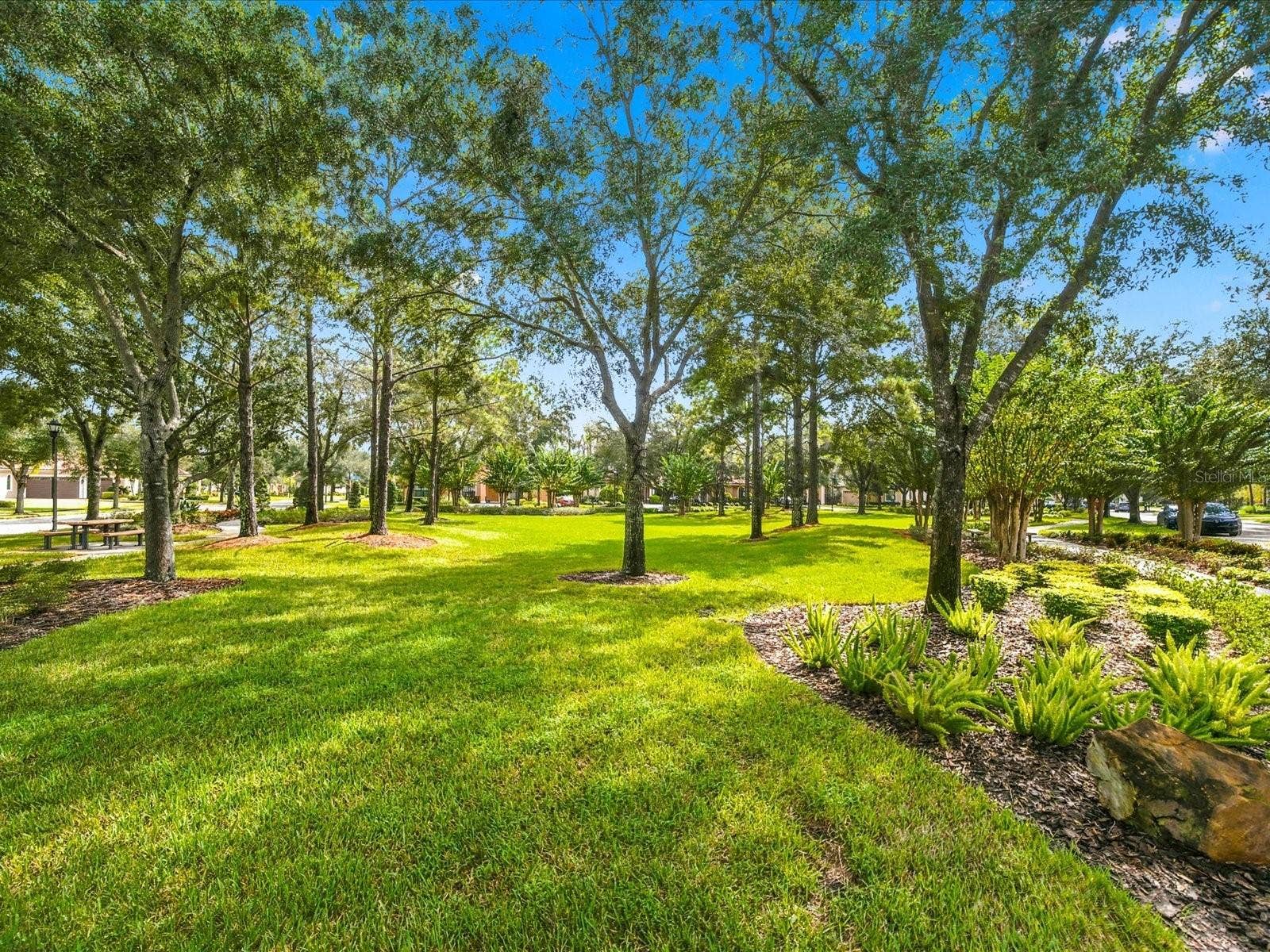 17314 SAN ARINGO PLACE, Lutz, FL 33548 17314 SAN ARINGO PLACE, Lutz, FL 33548