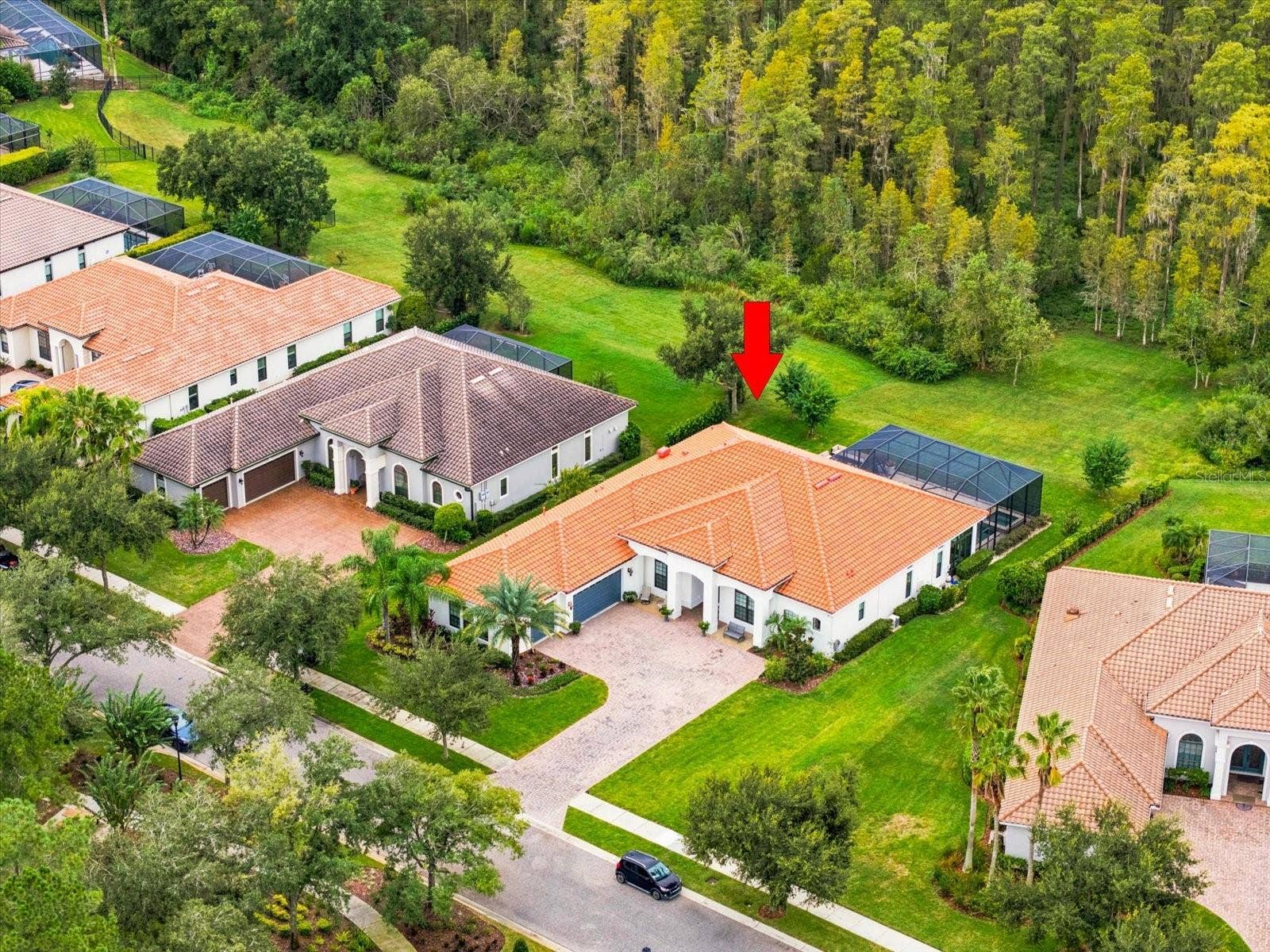 17314 SAN ARINGO PLACE, Lutz, FL 33548 17314 SAN ARINGO PLACE, Lutz, FL 33548