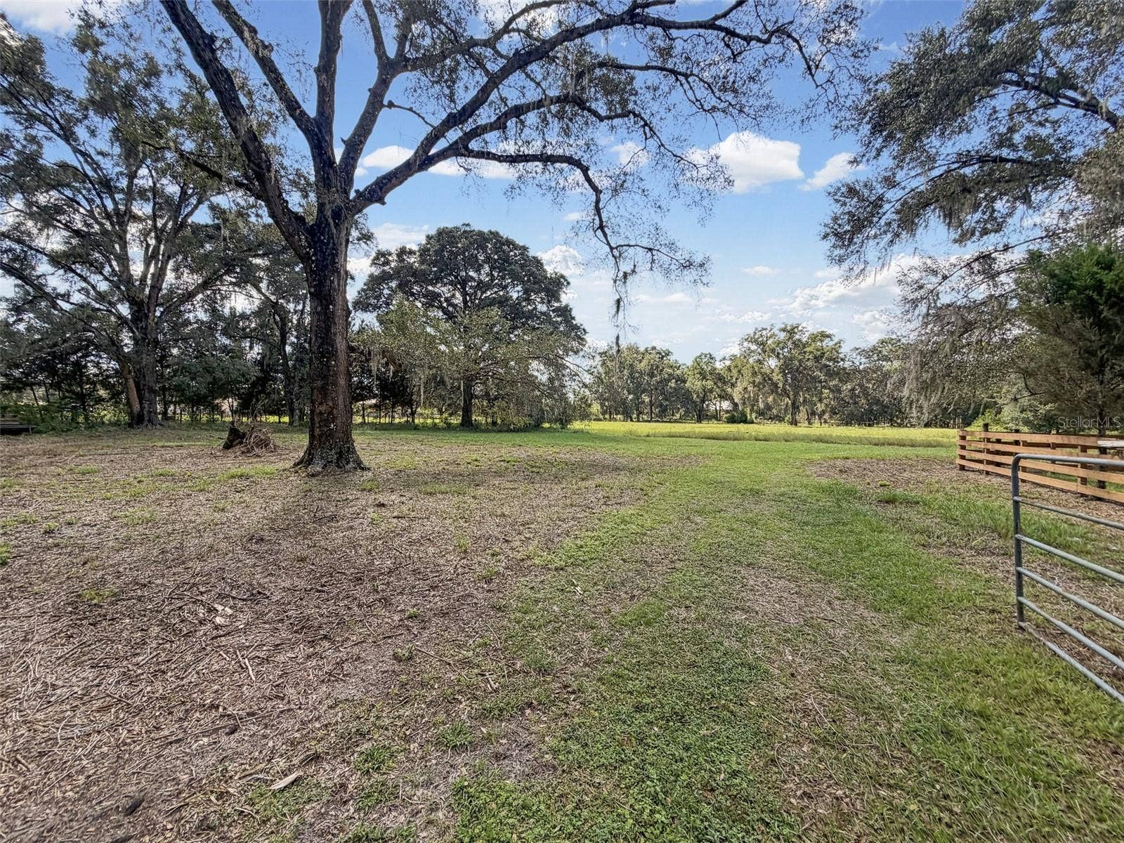 15561 PATRIOT DRIVE, Brooksville, FL 34601 15561 PATRIOT DRIVE, Brooksville, FL 34601