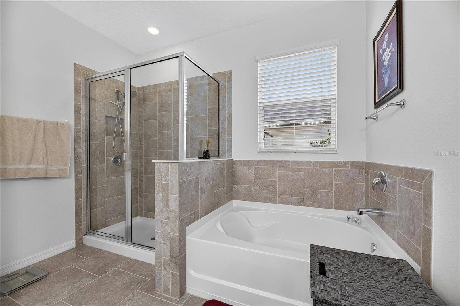 10619 SCENIC HOLLOW DRIVE, Riverview, FL 33578