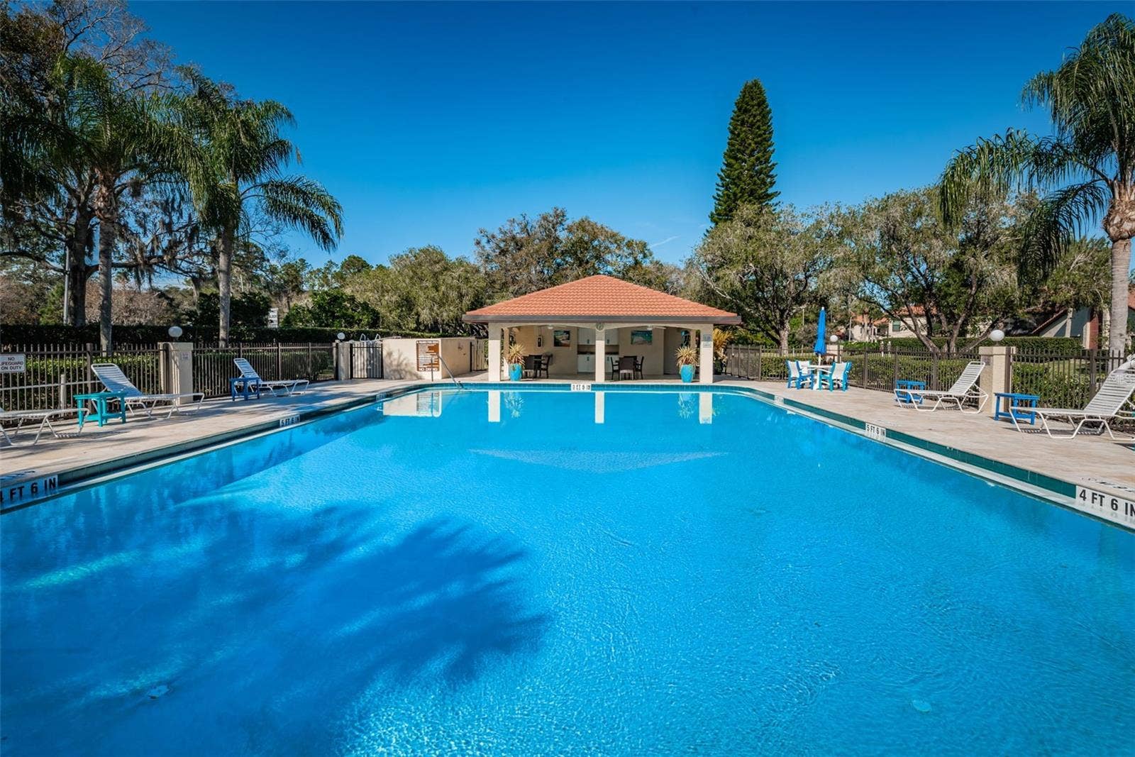 1801 E LAKE ROAD, #1D, Palm Harbor, FL 34685 1801 E LAKE ROAD, #1D, Palm Harbor, FL 34685