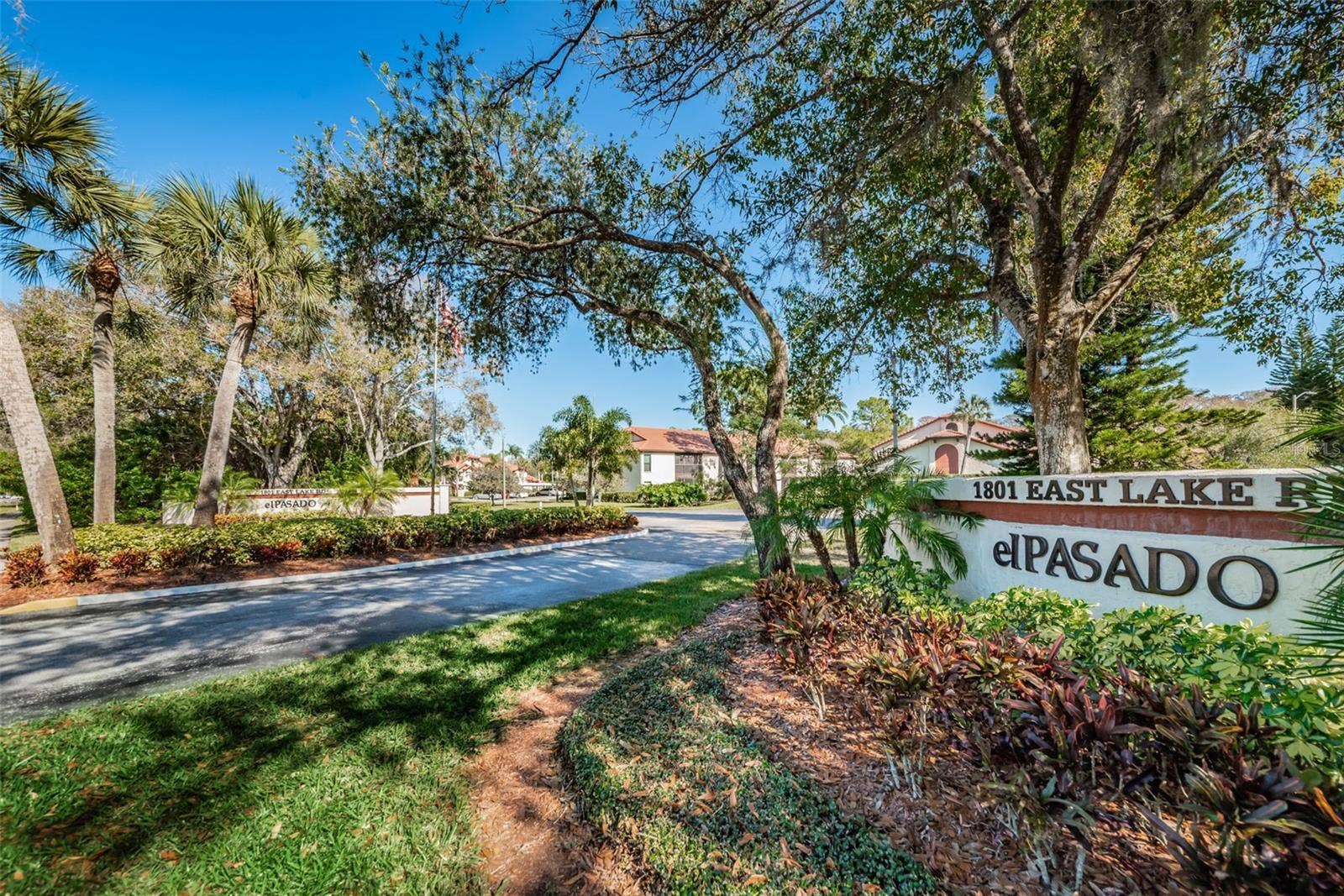 1801 E LAKE ROAD, #1D, Palm Harbor, FL 34685 1801 E LAKE ROAD, #1D, Palm Harbor, FL 34685