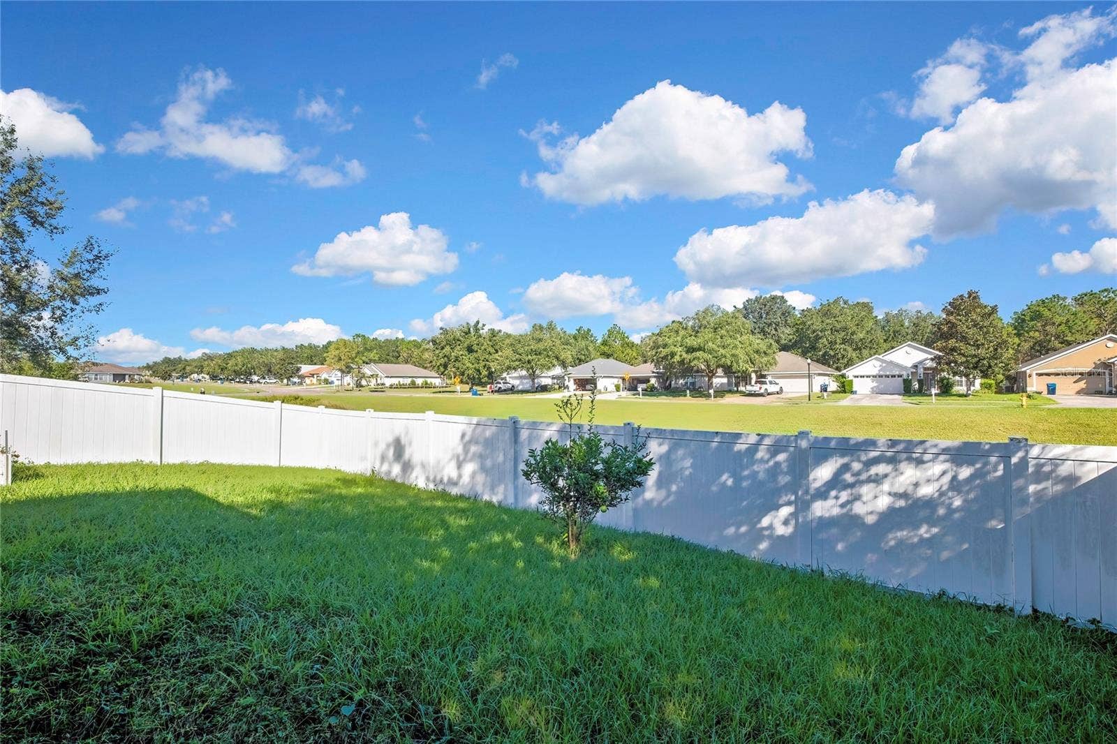 31179 WATER LILY DRIVE, Brooksville, FL 34602 31179 WATER LILY DRIVE, Brooksville, FL 34602