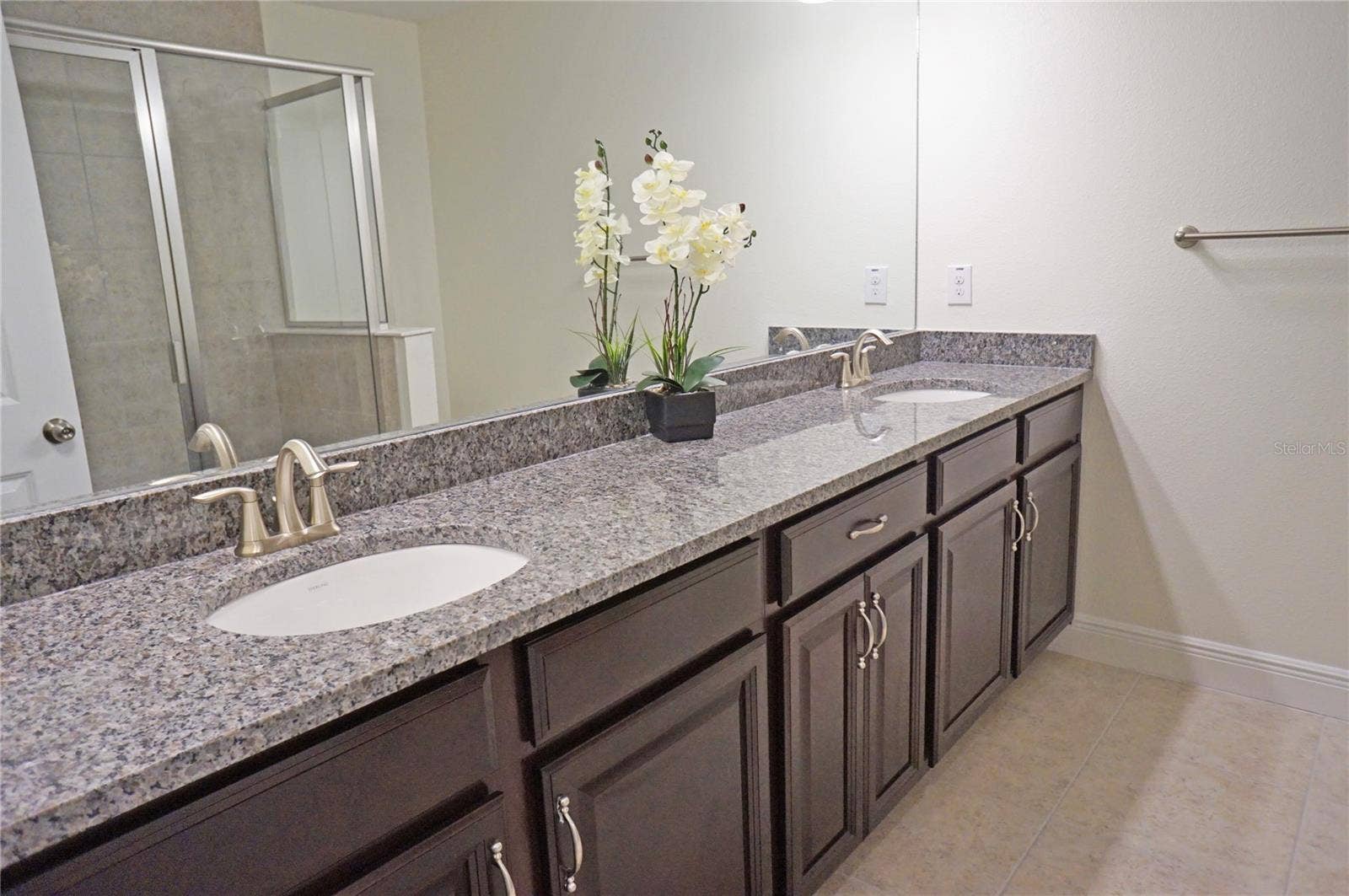 14243 DAMSELFLY DRIVE, Tampa, FL 33625 14243 DAMSELFLY DRIVE, Tampa, FL 33625