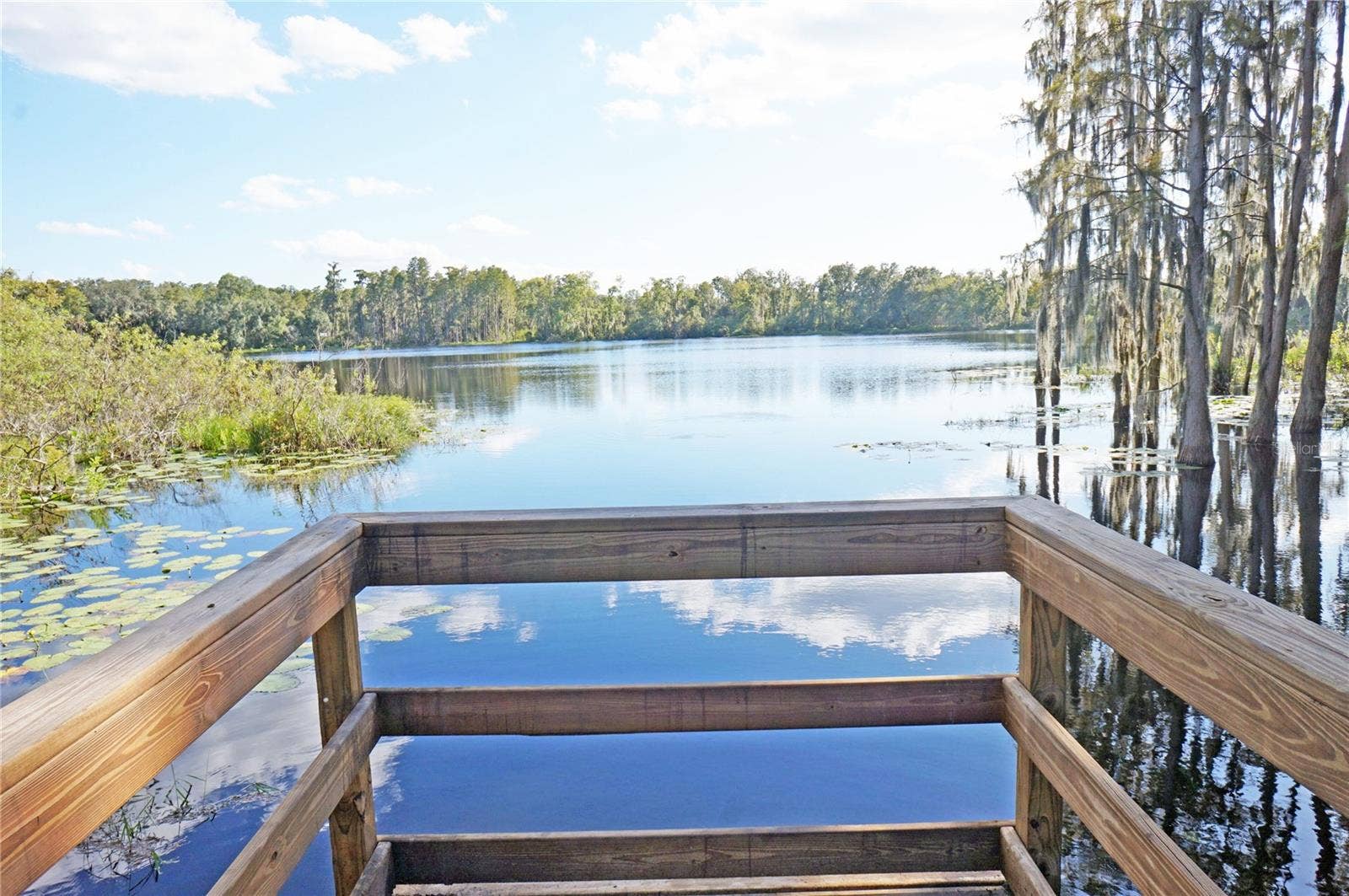 14243 DAMSELFLY DRIVE, Tampa, FL 33625 14243 DAMSELFLY DRIVE, Tampa, FL 33625