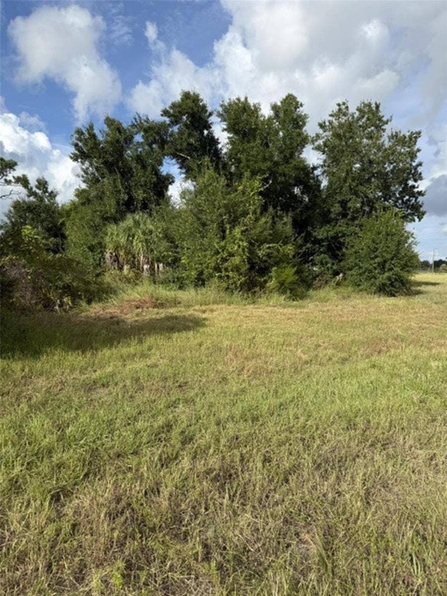 12390 BLUE MARLIN ROAD, Placida, FL 33946 12390 BLUE MARLIN ROAD, Placida, FL 33946