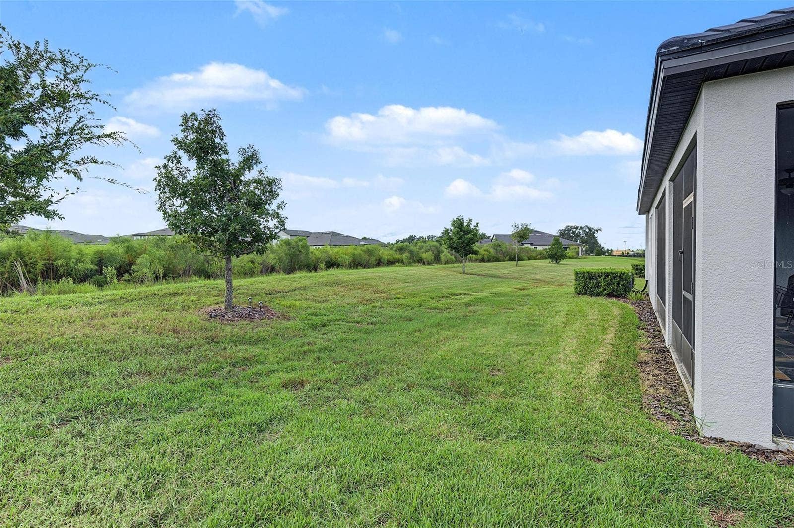31733 CABANA RYE AVENUE, San Antonio, FL 33576 31733 CABANA RYE AVENUE, San Antonio, FL 33576