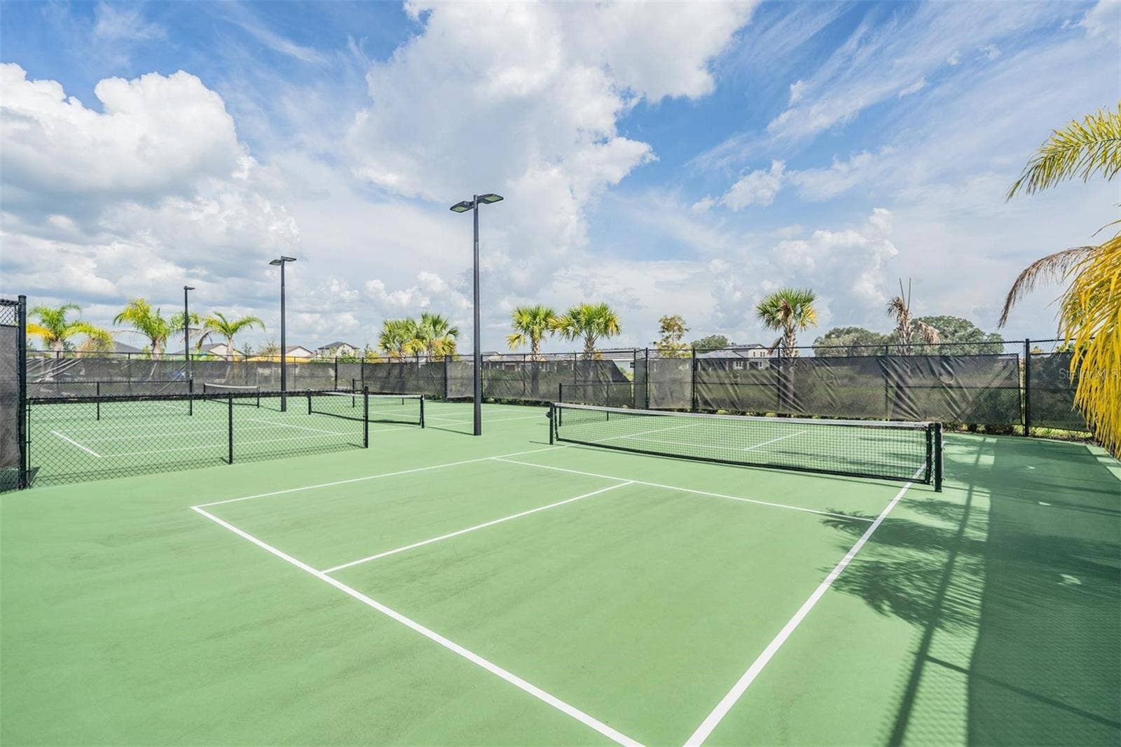 31733 CABANA RYE AVENUE, San Antonio, FL 33576 31733 CABANA RYE AVENUE, San Antonio, FL 33576