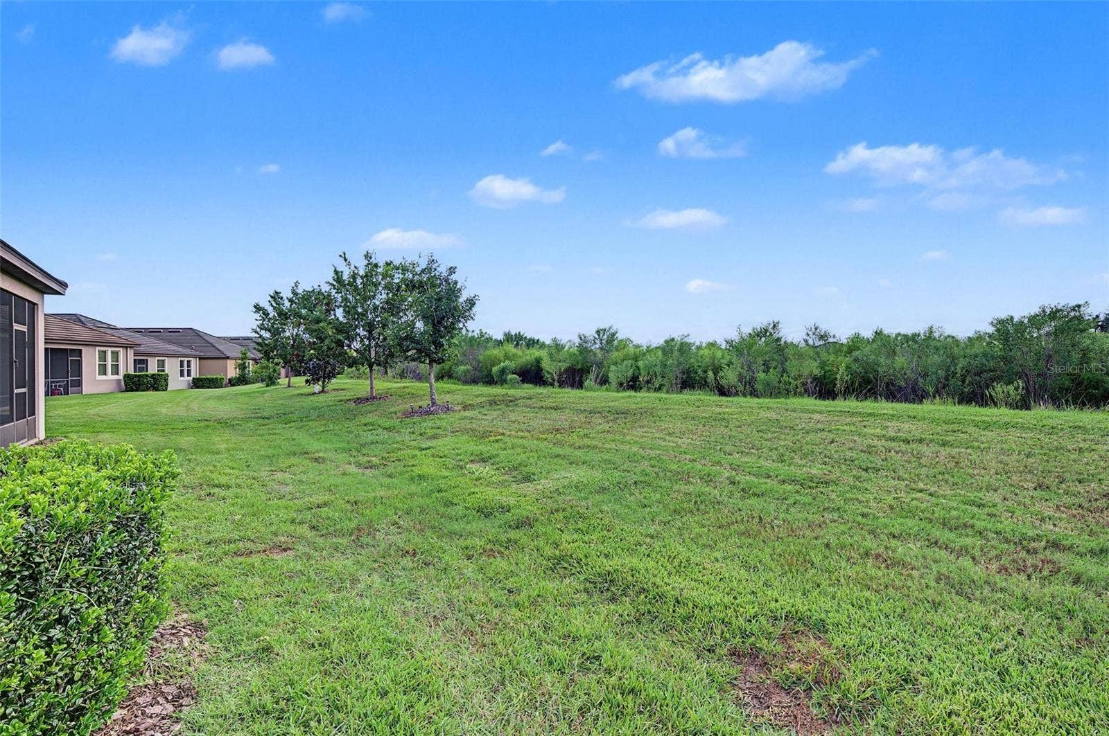 31733 CABANA RYE AVENUE, San Antonio, FL 33576 31733 CABANA RYE AVENUE, San Antonio, FL 33576