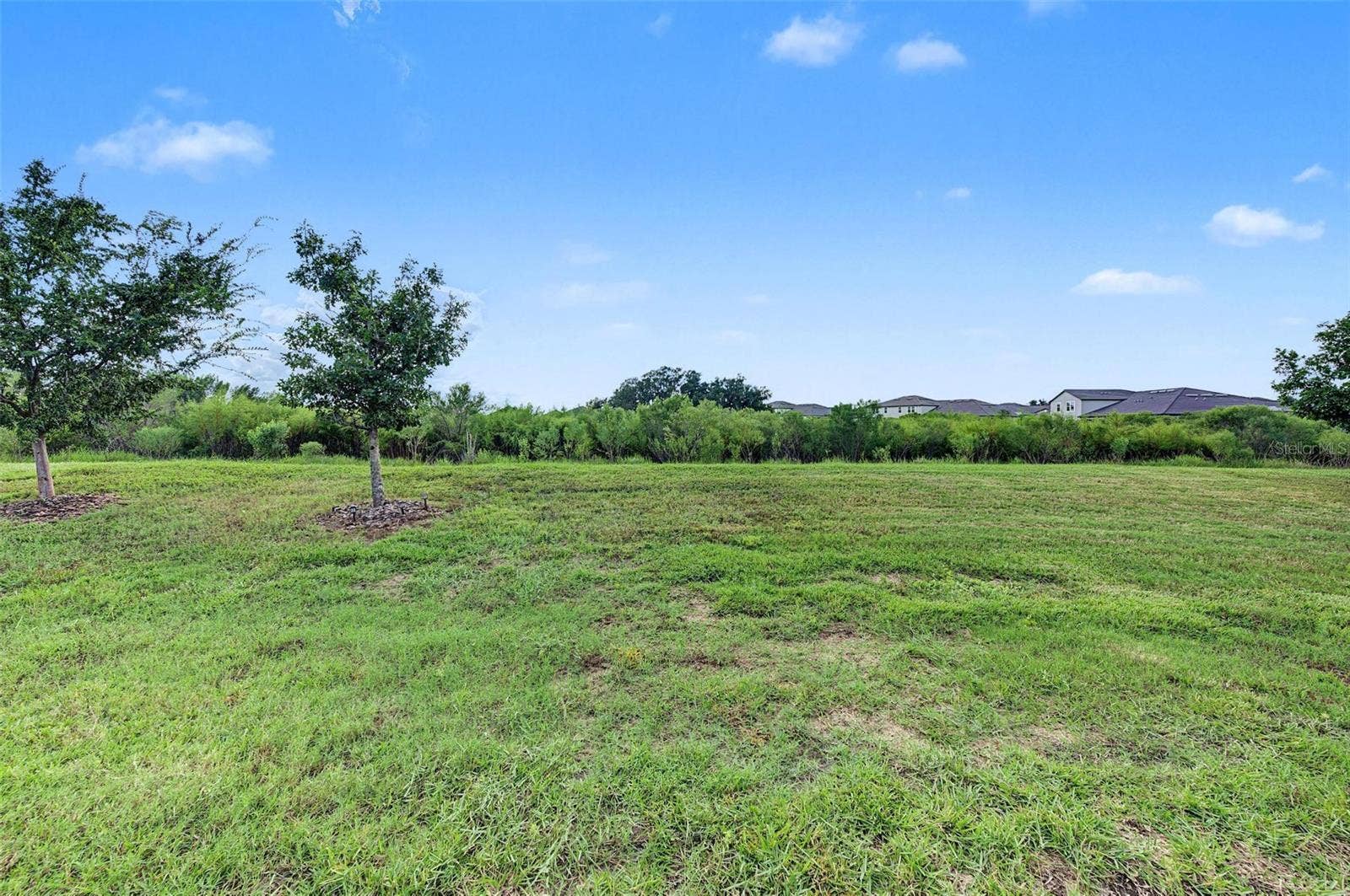 31733 CABANA RYE AVENUE, San Antonio, FL 33576 31733 CABANA RYE AVENUE, San Antonio, FL 33576