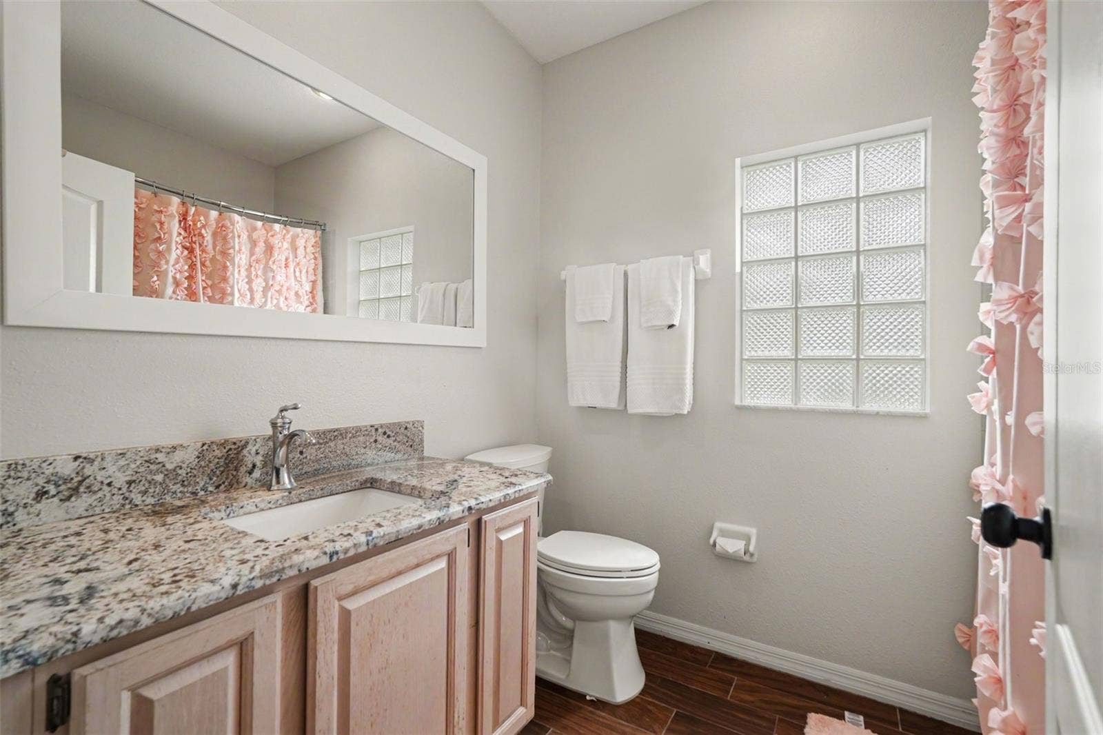 16809 WINDSOR PARK DRIVE, Lutz, FL 33549