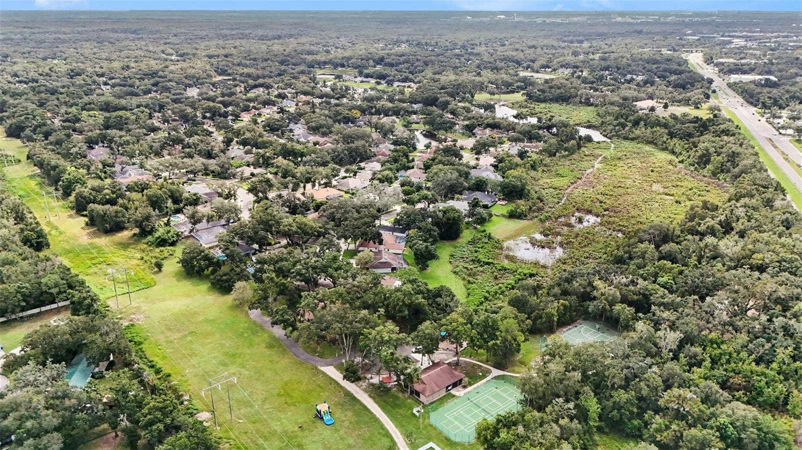 16809 WINDSOR PARK DRIVE, Lutz, FL 33549