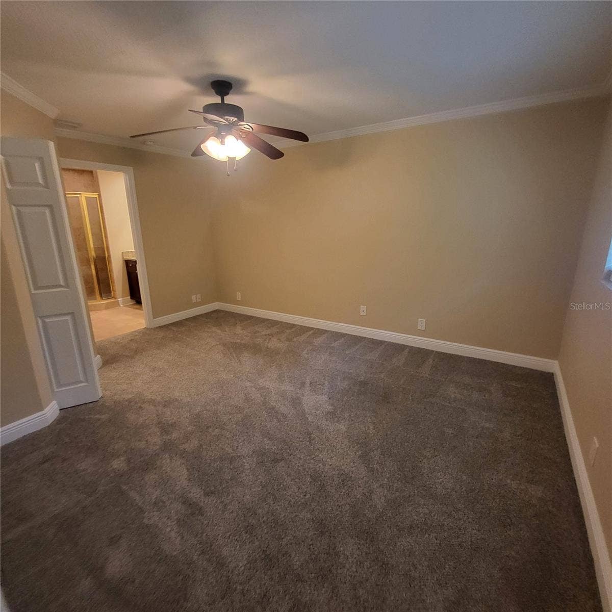 14906 WINTERWIND DRIVE, Tampa, FL 33624