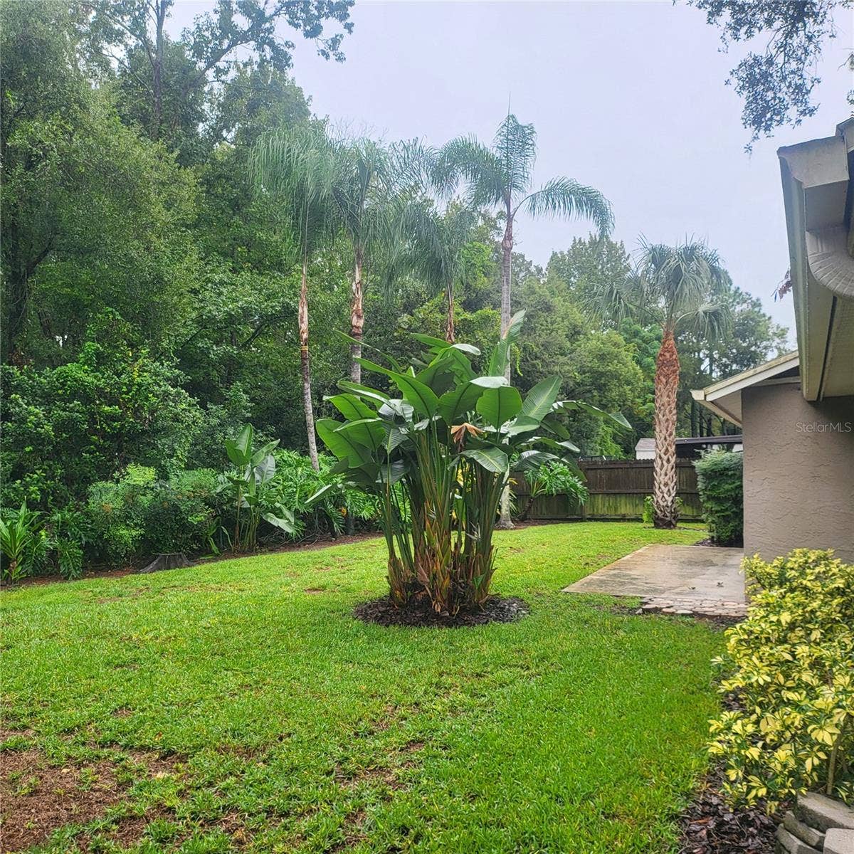 14906 WINTERWIND DRIVE, Tampa, FL 33624