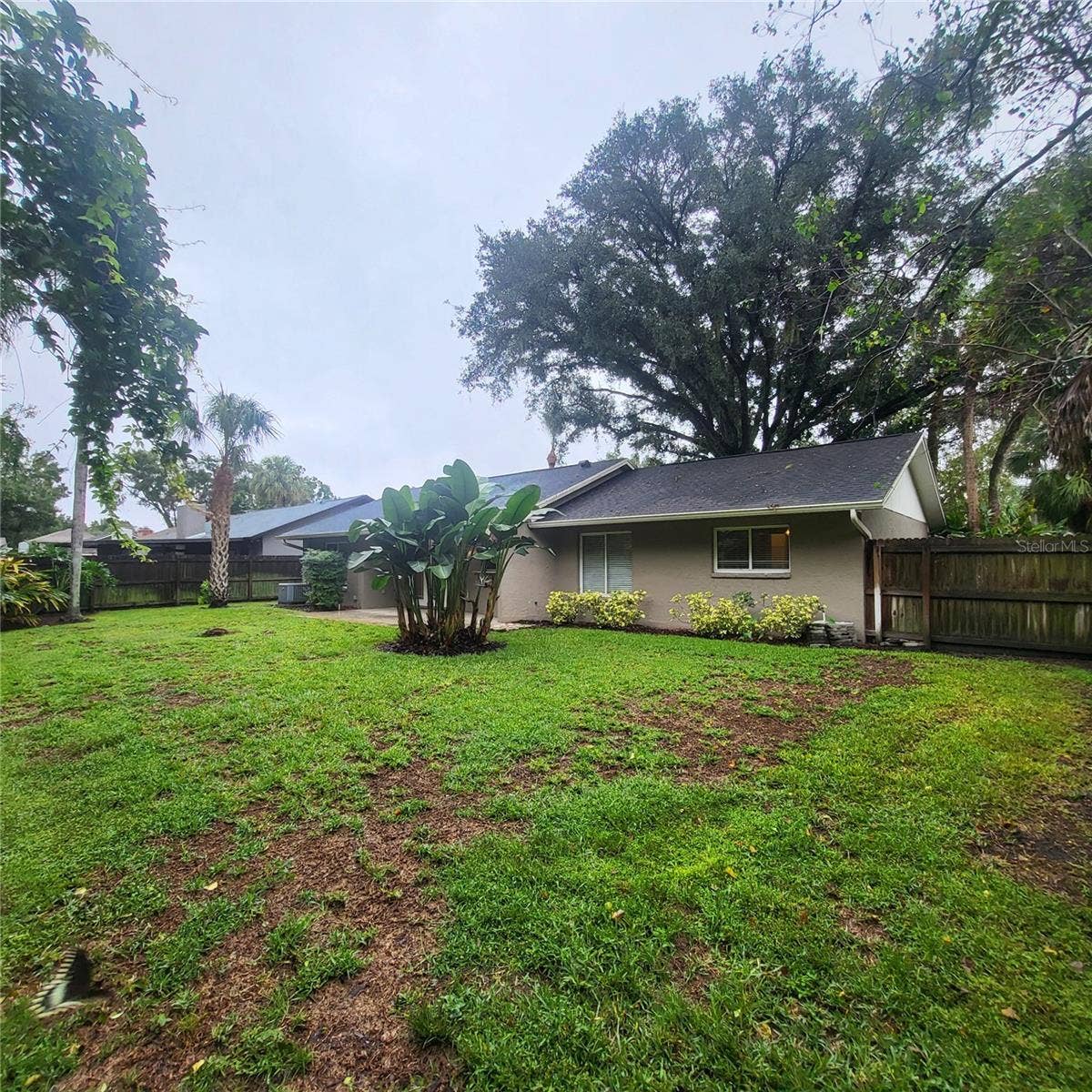 14906 WINTERWIND DRIVE, Tampa, FL 33624