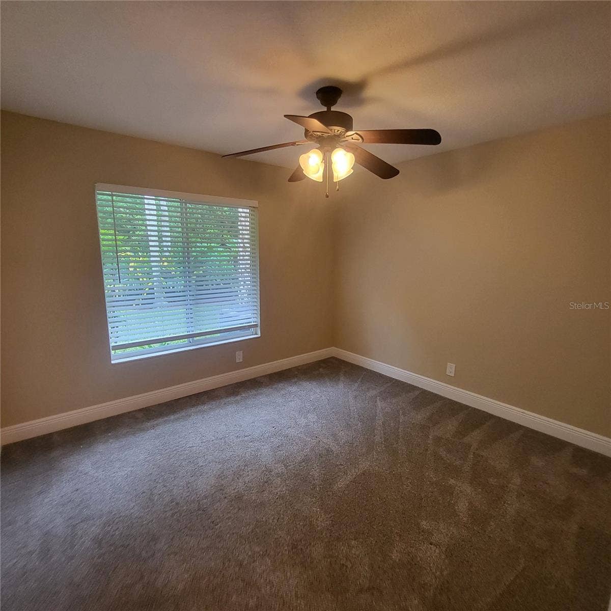 14906 WINTERWIND DRIVE, Tampa, FL 33624