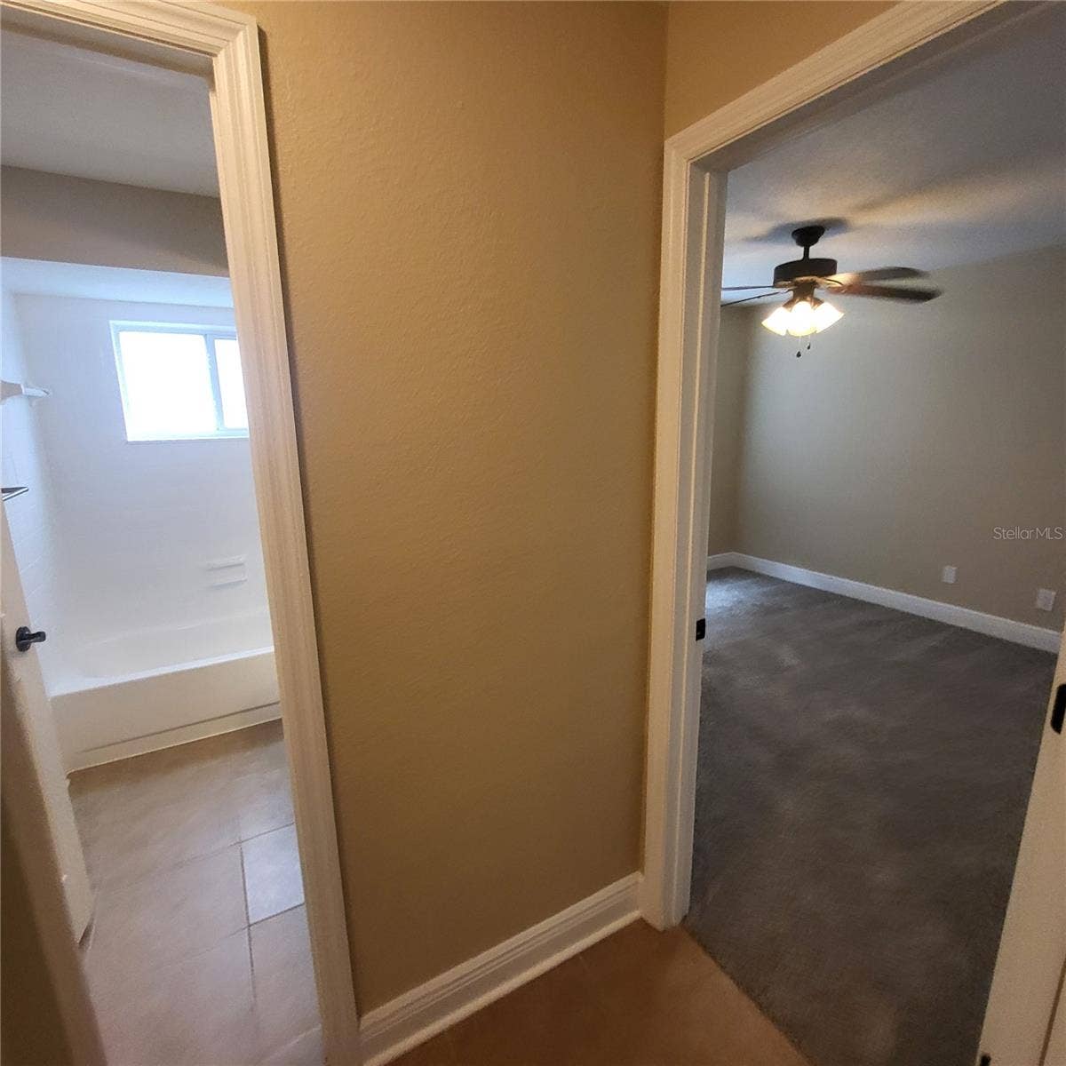 14906 WINTERWIND DRIVE, Tampa, FL 33624