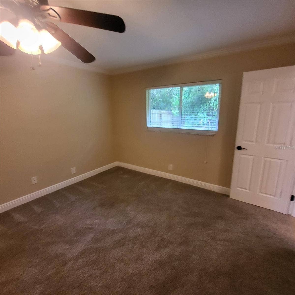 14906 WINTERWIND DRIVE, Tampa, FL 33624