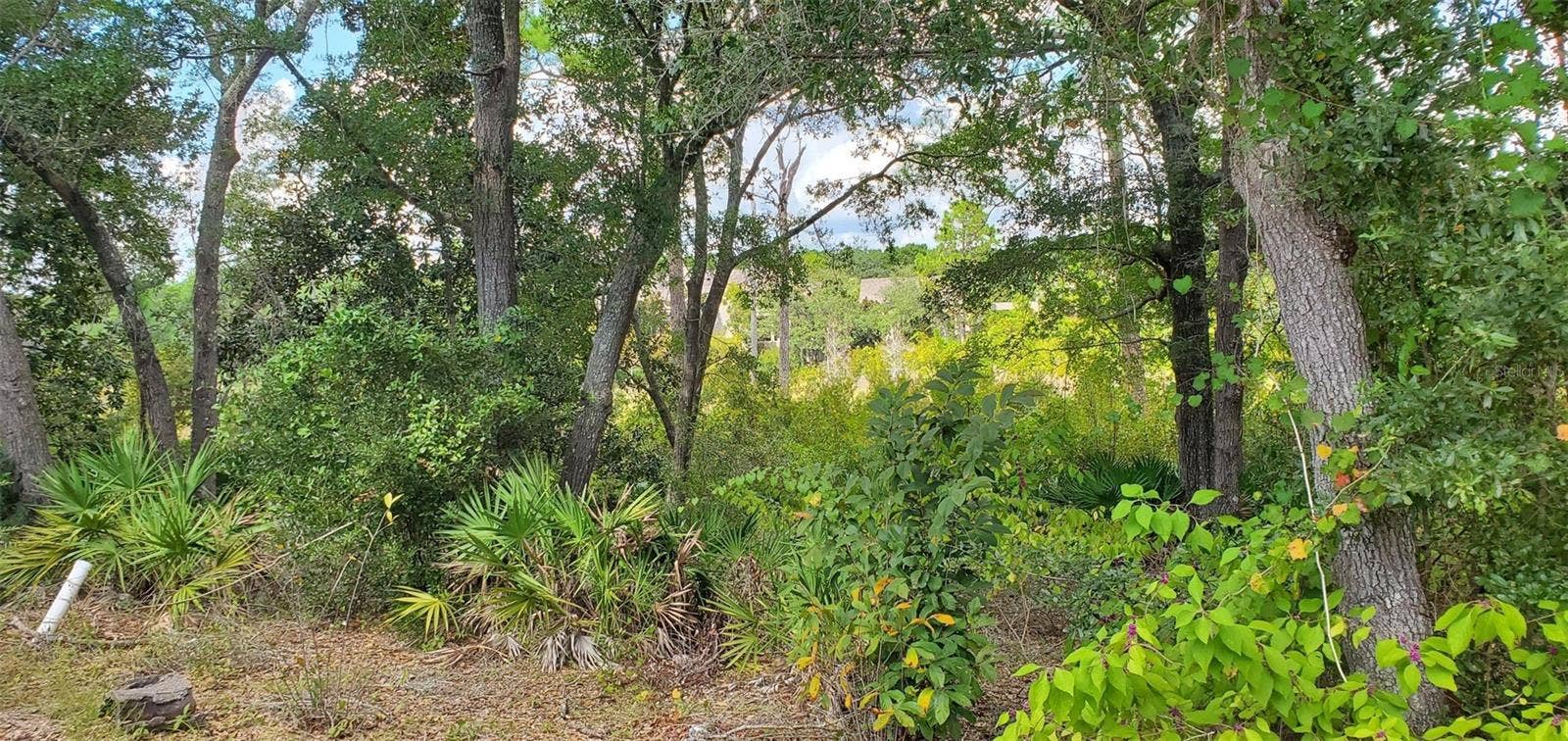 6 COVE CREEK LANE, Inlet Beach, FL 32413