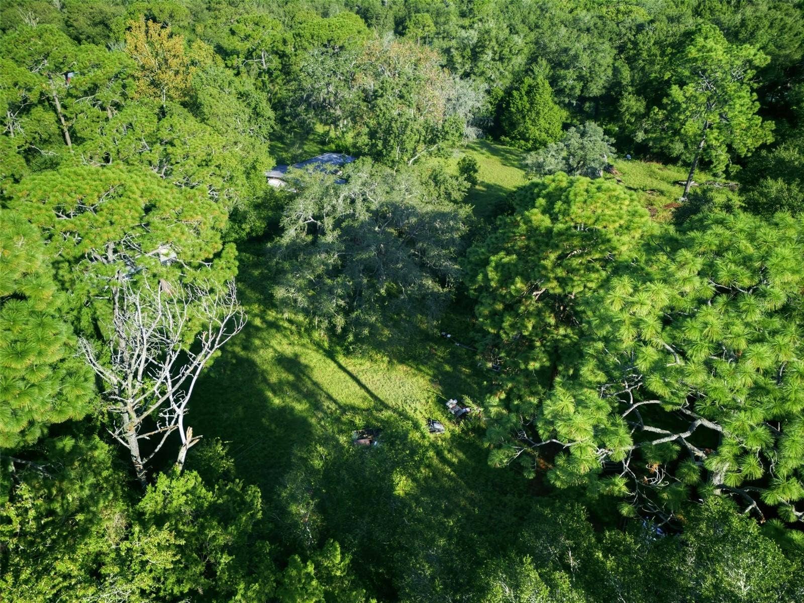 18322 HAVENWOODS ROAD, Spring Hill, FL 34610