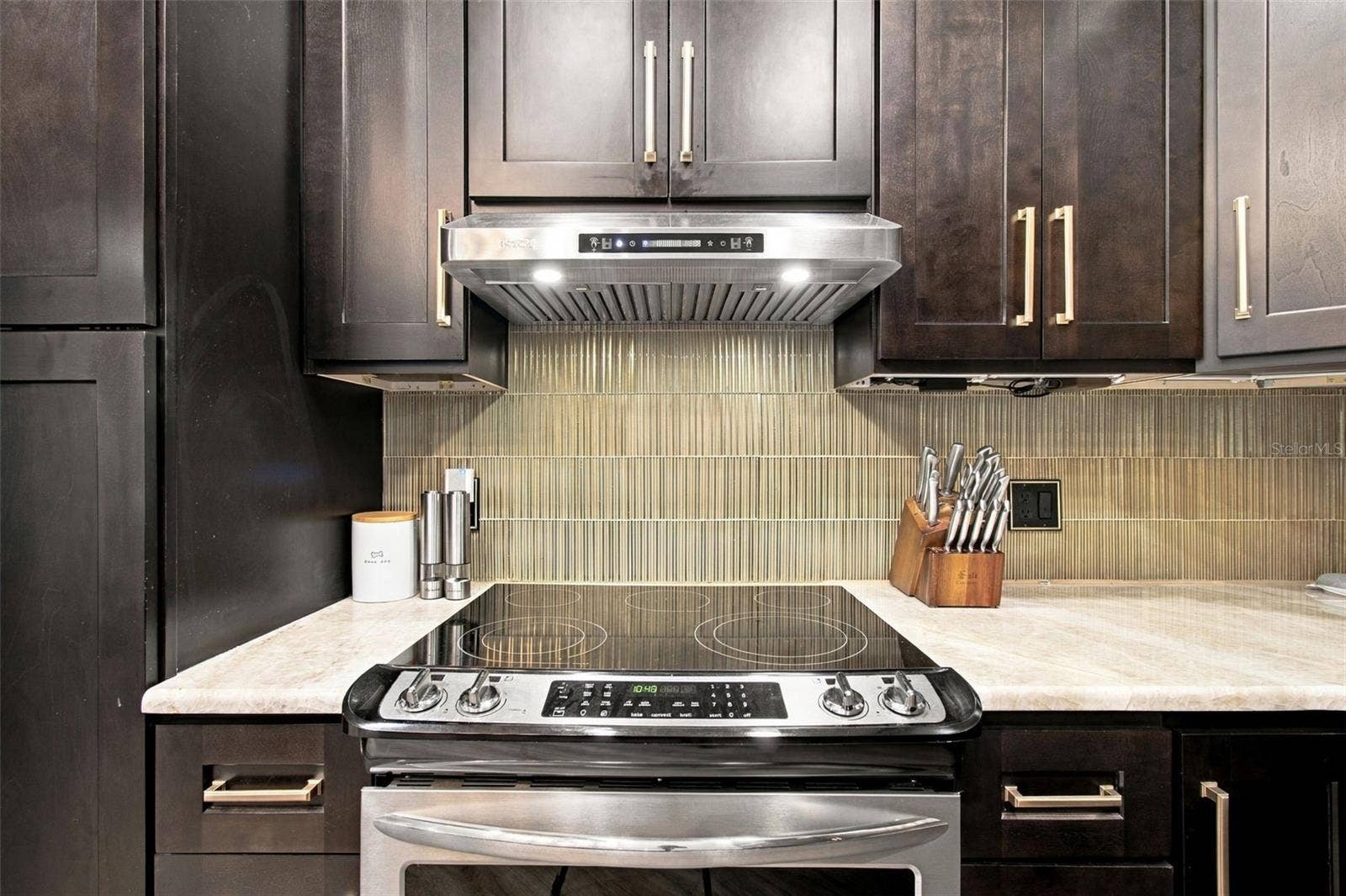 17035 WINNERS CIRCLE, Odessa, FL 33556 17035 WINNERS CIRCLE, Odessa, FL 33556