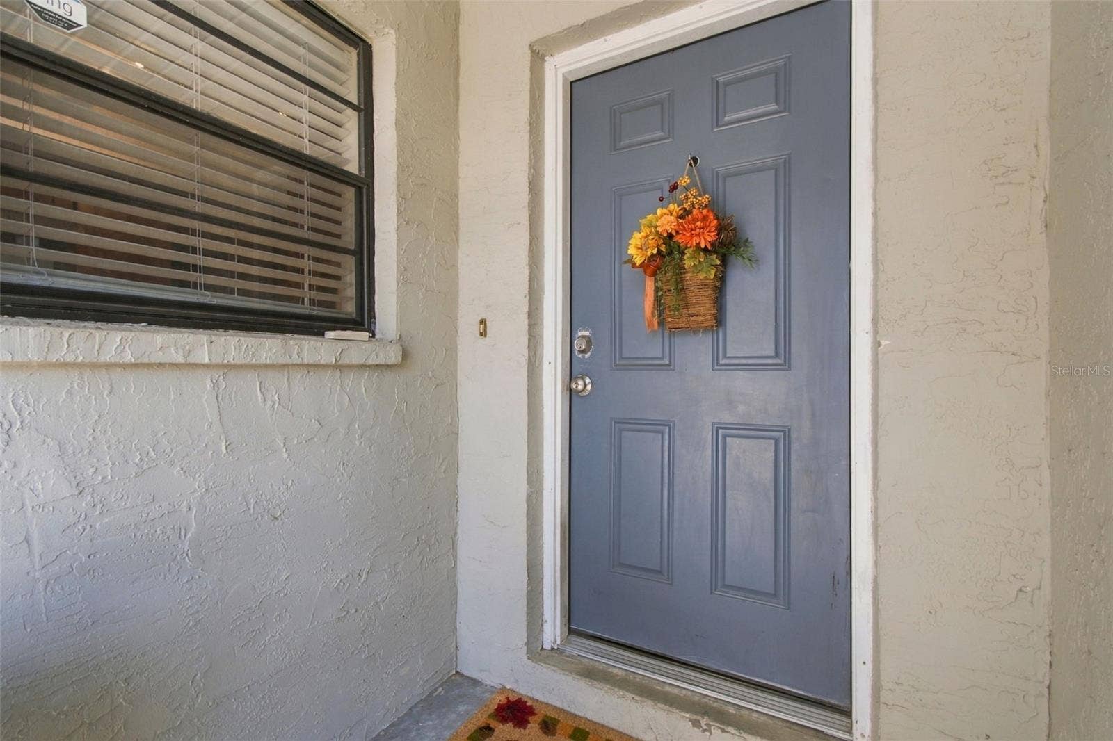 38611 FERM CIRCLE, Zephyrhills, FL 33540 38611 FERM CIRCLE, Zephyrhills, FL 33540