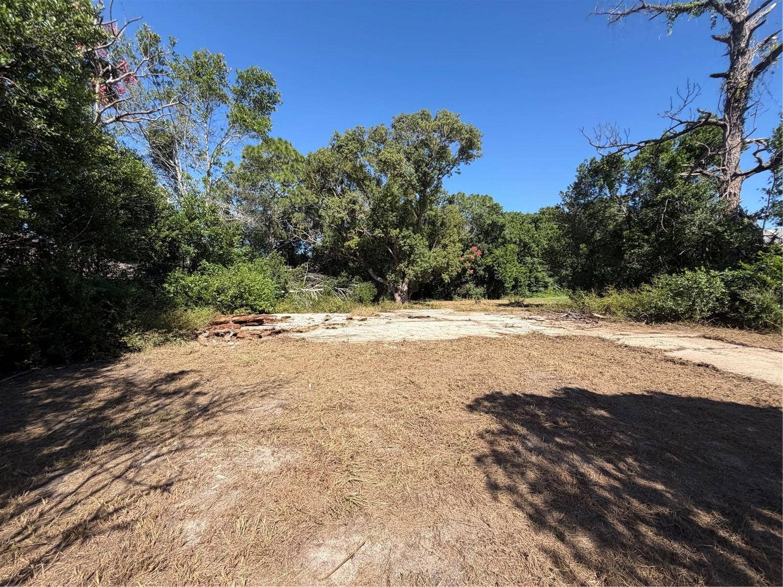 11411 SAGAMORE STREET, Spring Hill, FL 34609 11411 SAGAMORE STREET, Spring Hill, FL 34609