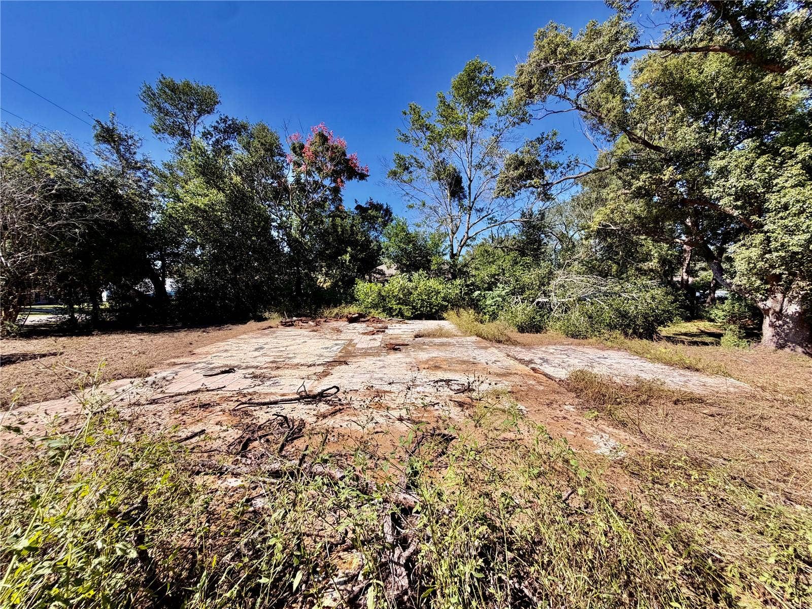 11411 SAGAMORE STREET, Spring Hill, FL 34609 11411 SAGAMORE STREET, Spring Hill, FL 34609