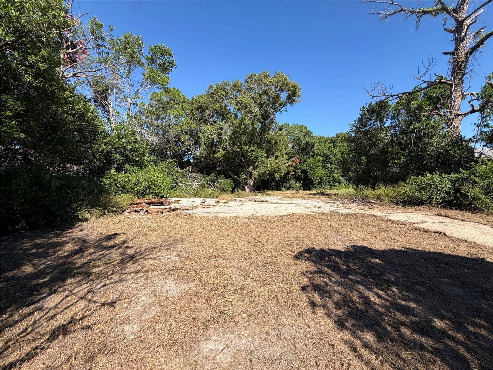 11411 SAGAMORE STREET, Spring Hill, FL 34609 11411 SAGAMORE STREET, Spring Hill, FL 34609