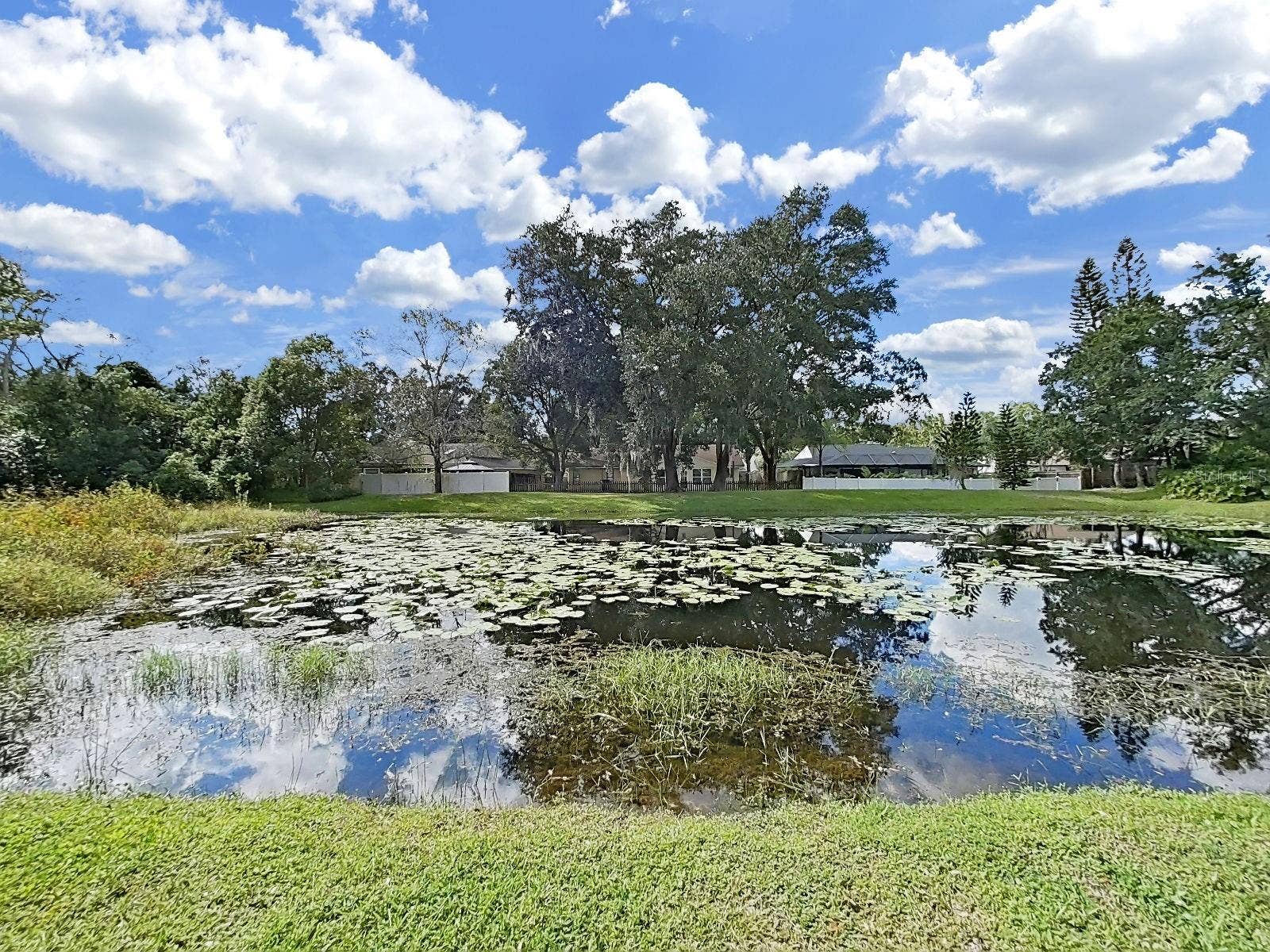 14915 DEVONSHIRE WOODS PLACE, Tampa, FL 33624 One of Two Ponds Across the Street
