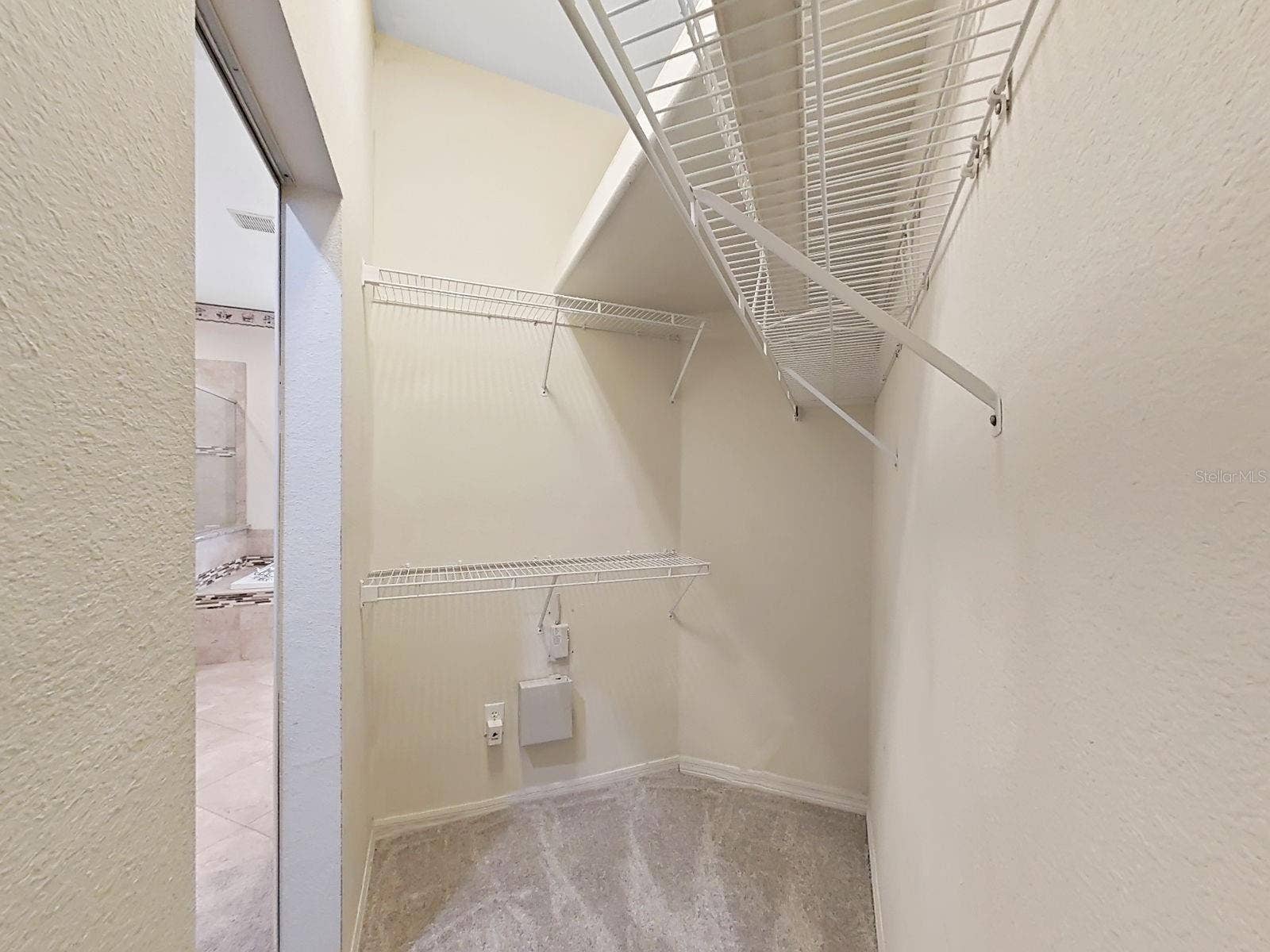 14915 DEVONSHIRE WOODS PLACE, Tampa, FL 33624 Closet with Storage