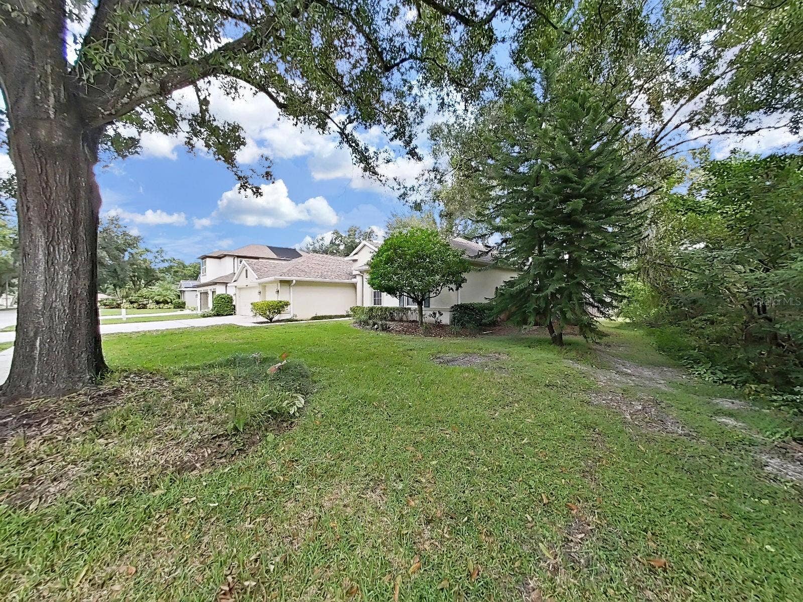 14915 DEVONSHIRE WOODS PLACE, Tampa, FL 33624 Private Side Yard