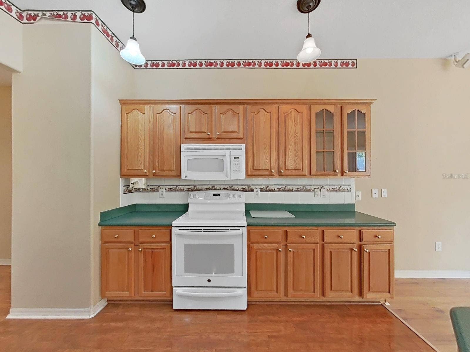 14915 DEVONSHIRE WOODS PLACE, Tampa, FL 33624 Lighted Glass Cabinets