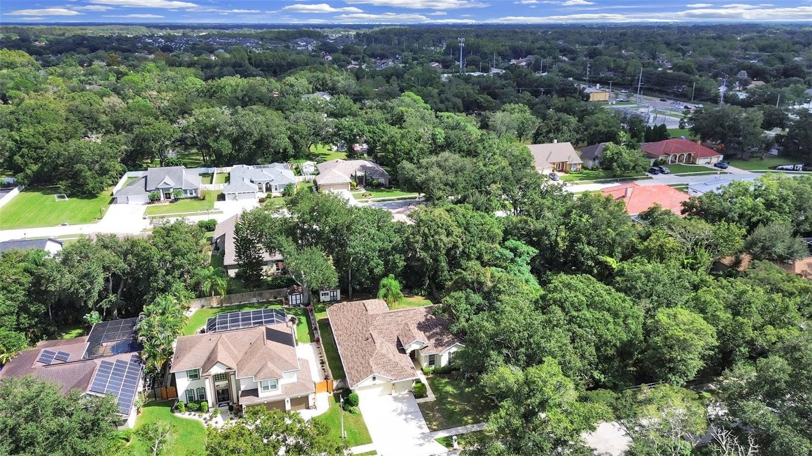 14915 DEVONSHIRE WOODS PLACE, Tampa, FL 33624 Mature Landscaping