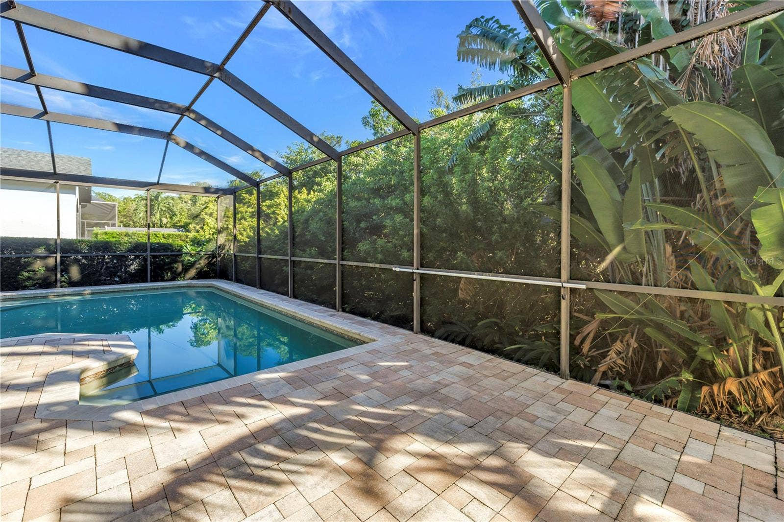1186 GASPARILLA DRIVE NE, St Petersburg, FL 33702 This stunning pool area features multiple access points, including convenient in-pool seating for ultimate relaxation. The surrounding preserve provides a natural, scenic backdrop while offering excellent protection from high winds and storms.