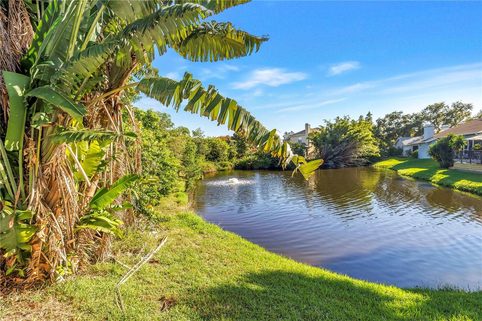 1186 GASPARILLA DRIVE NE, St Petersburg, FL 33702 Beautiful neighborhood pond featuring a scenic water fountain.