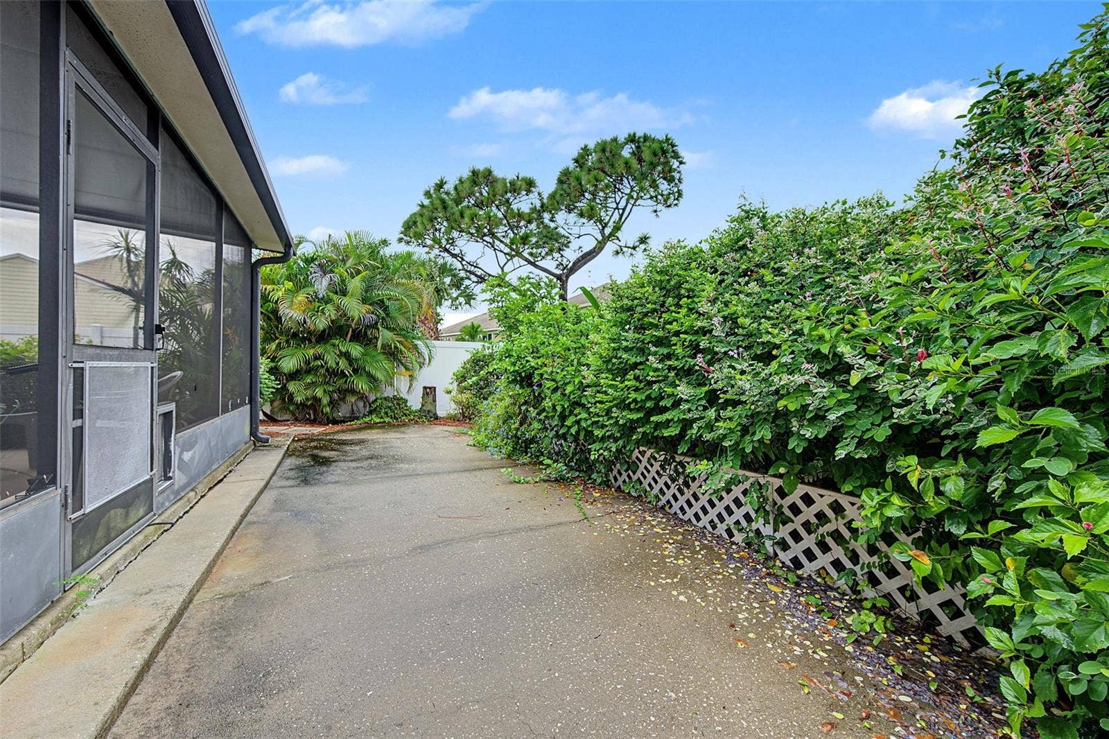 2771 SUMMERDALE DRIVE, #7, Clearwater, FL 33761 Fenced Backyard with Patio