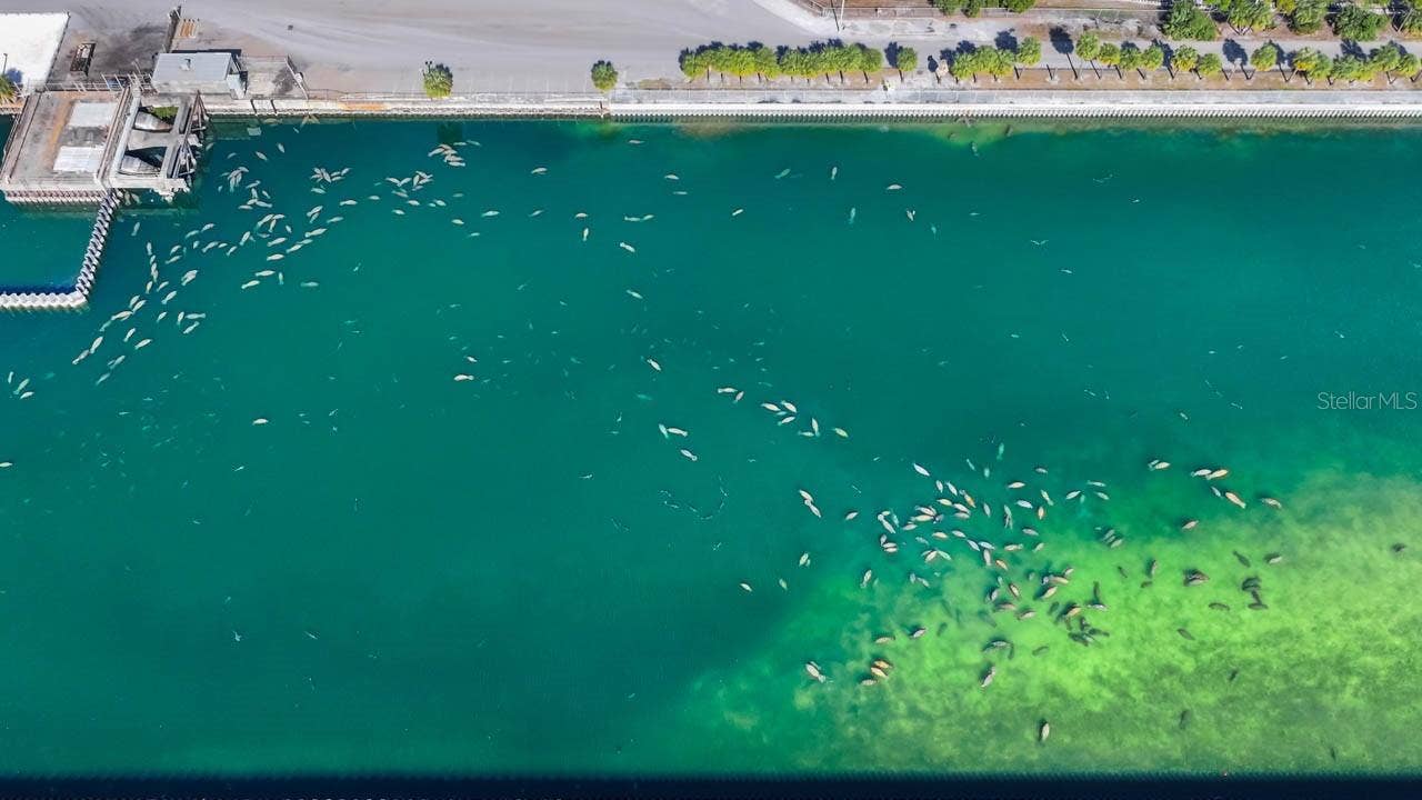 500 FLORIDA CIRCLE S, Apollo Beach, FL 33572 Manatee Viewing Center