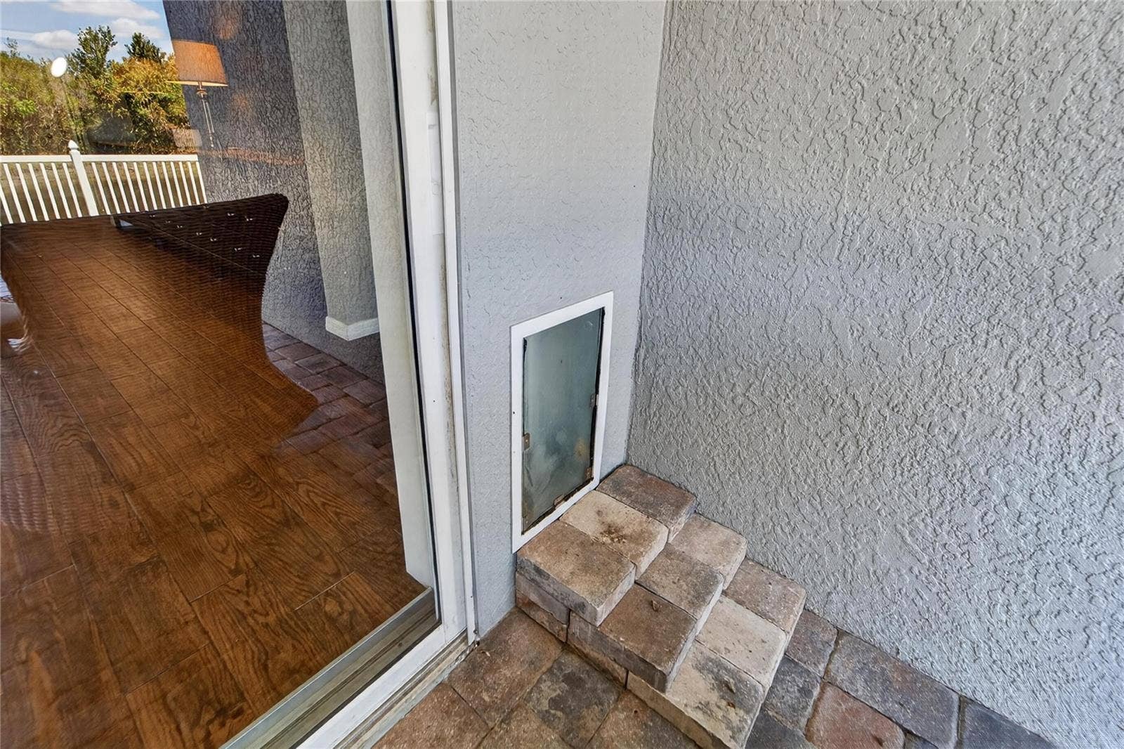 DOGGIE DOOR AND CAT DOOR!
