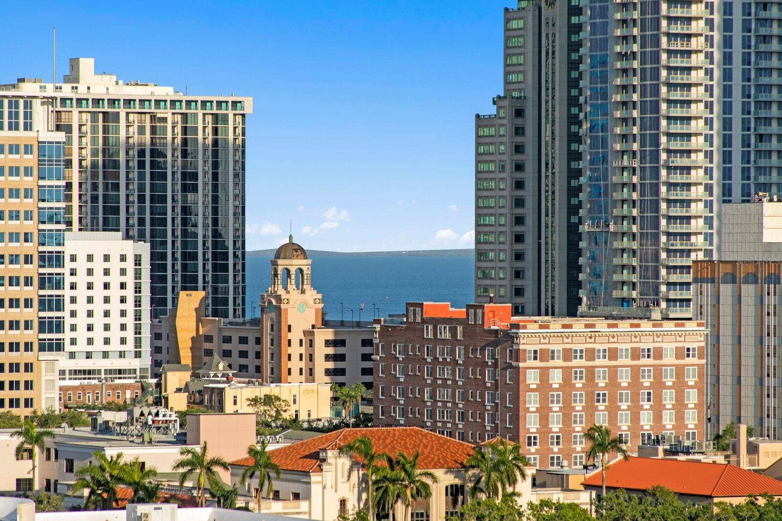 777 3RD AVENUE N, #1408, St Petersburg, FL 33701