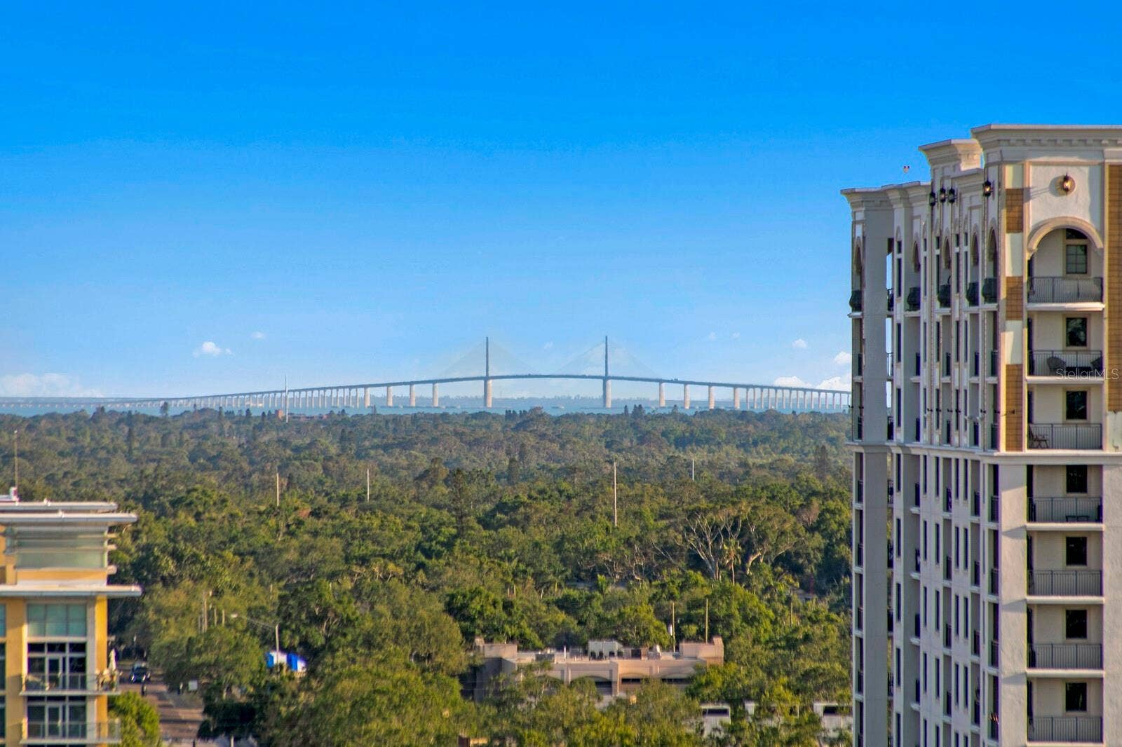 777 3RD AVENUE N, #1408, St Petersburg, FL 33701