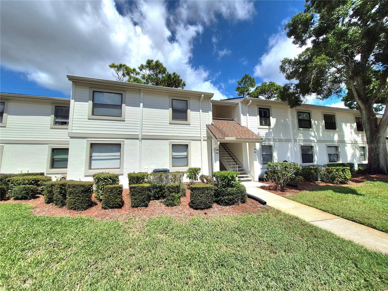 305 MEADOW LANE, #305, Oldsmar, FL 34677 305 MEADOW LANE, #305, Oldsmar, FL 34677