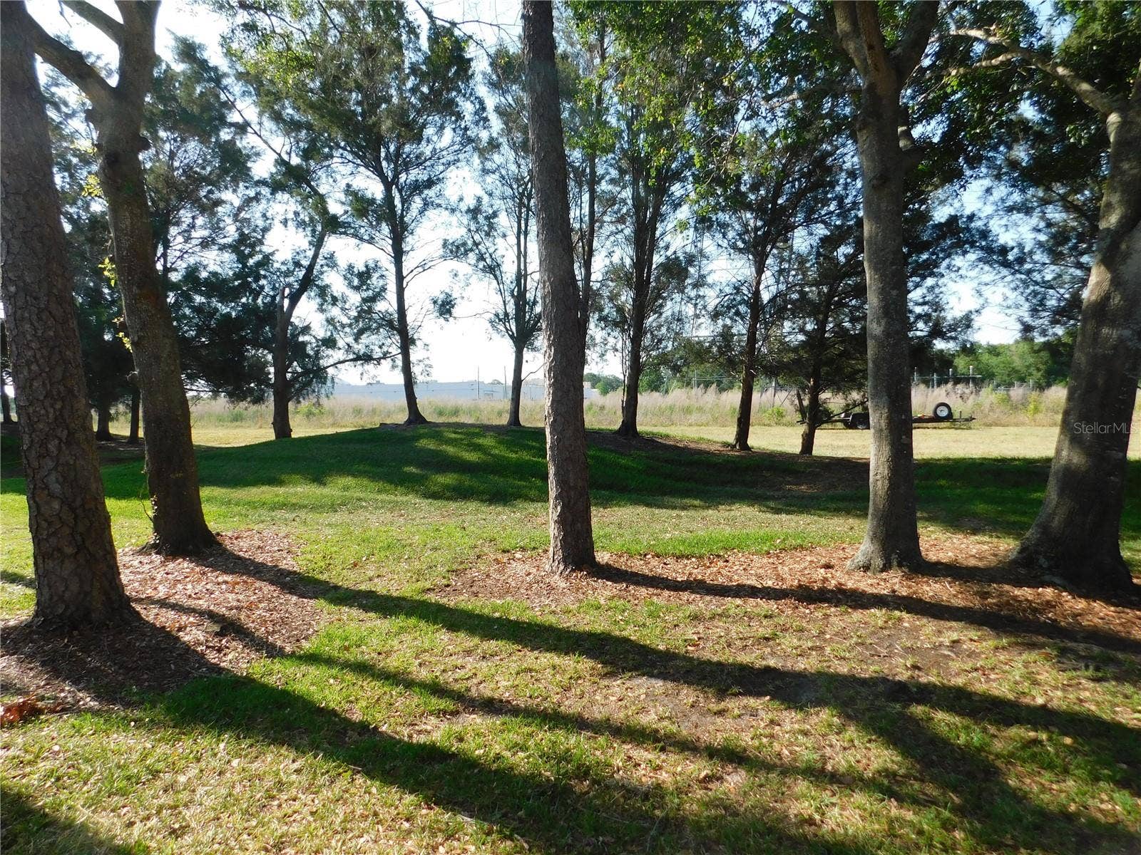 305 MEADOW LANE, #305, Oldsmar, FL 34677 305 MEADOW LANE, #305, Oldsmar, FL 34677