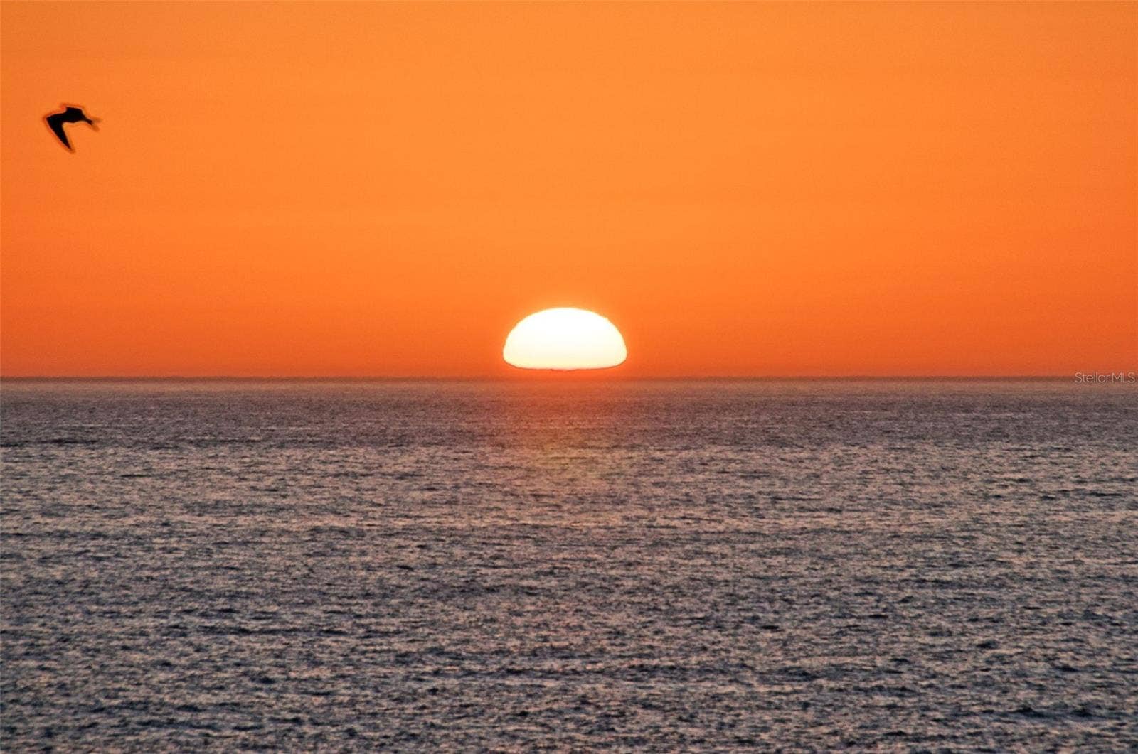 17960 GULF BOULEVARD, #118, Redington Shores, FL 33708 17960 GULF BOULEVARD, #118, Redington Shores, FL 33708