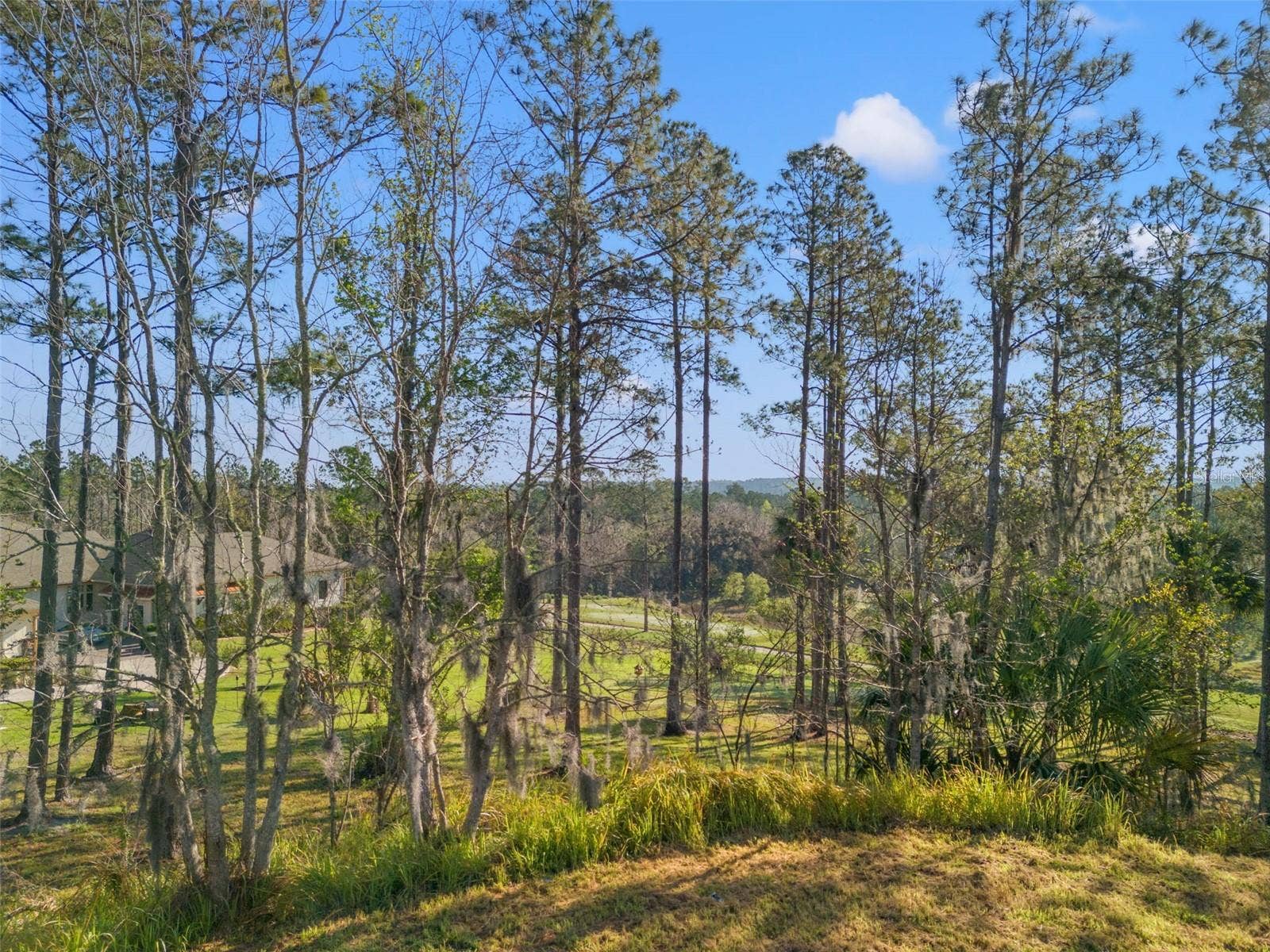 20132 ENGLISH WALNUT PLACE, Brooksville, FL 34601 20132 ENGLISH WALNUT PLACE, Brooksville, FL 34601
