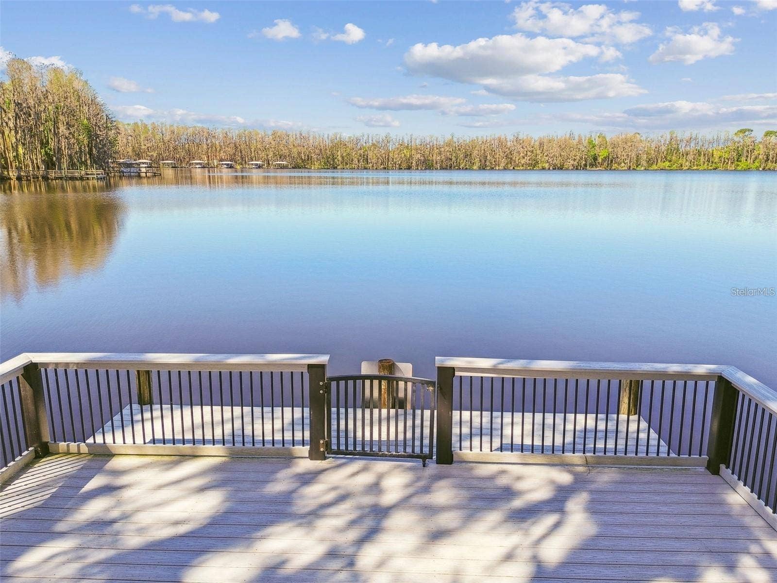20924 BROADWATER DRIVE, Land O Lakes, FL 34638 20924 BROADWATER DRIVE, Land O Lakes, FL 34638