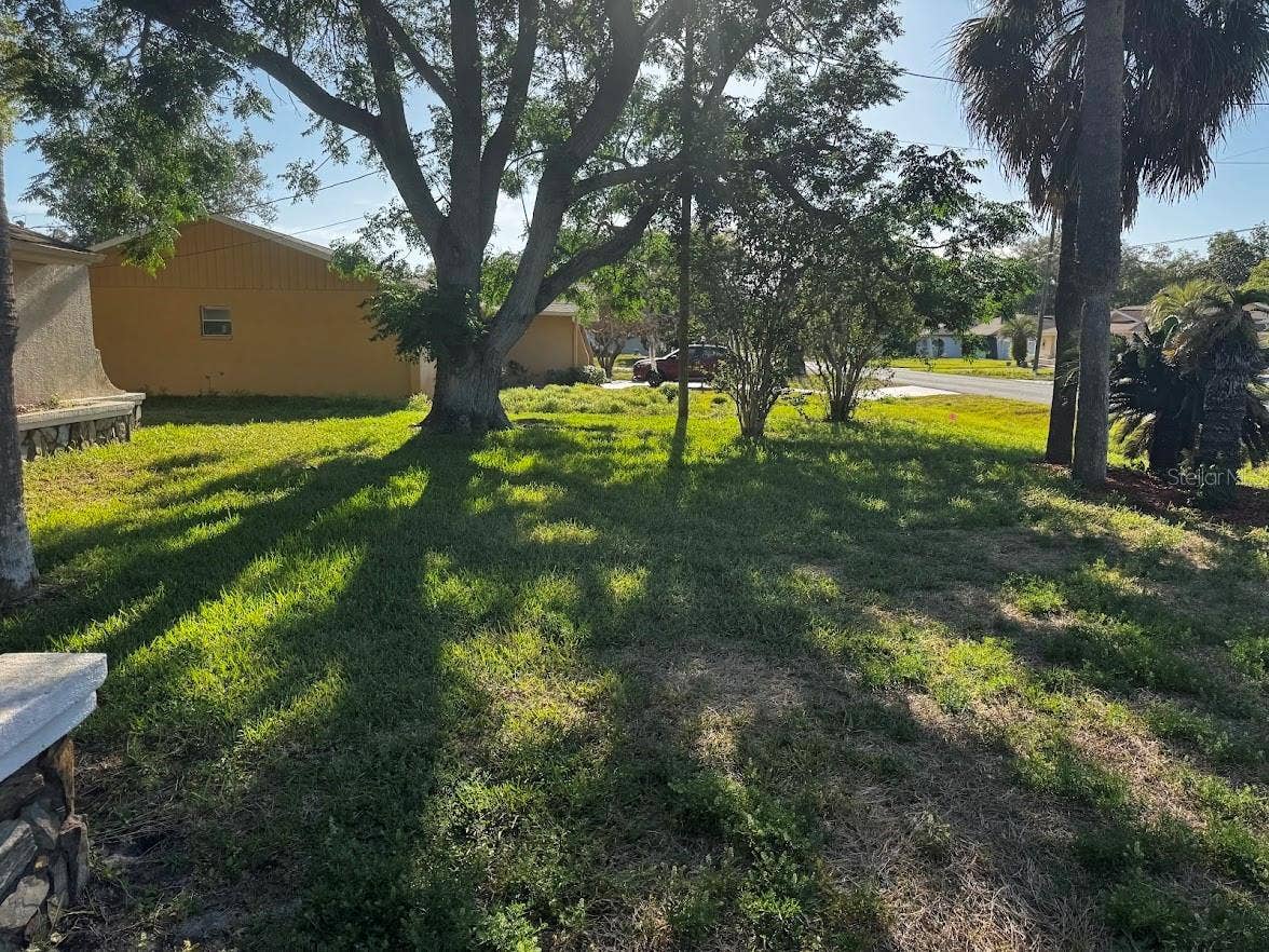 7428 TRANQUIL DRIVE, Spring Hill, FL 34606 Yard
